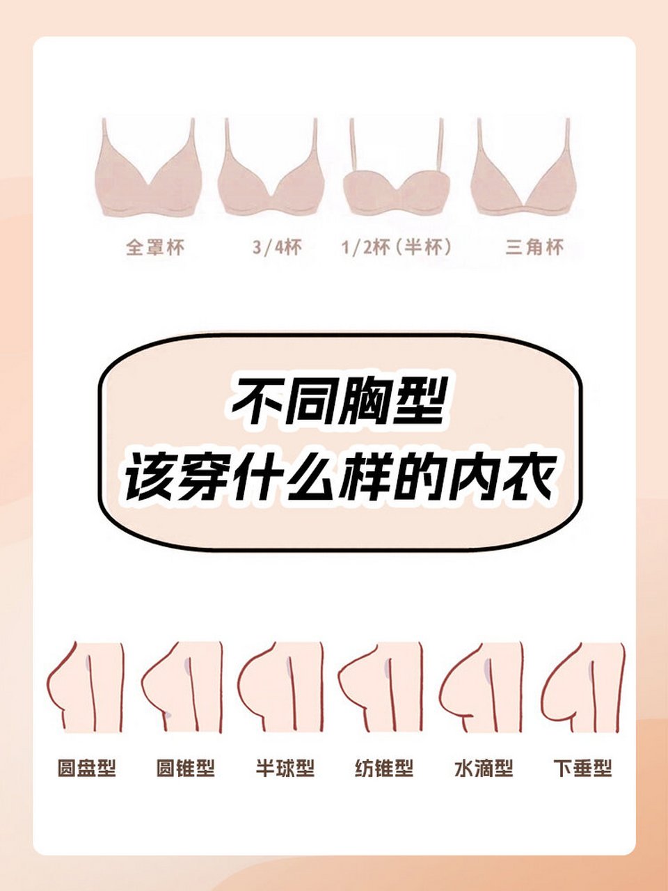 圆盘型:乳房分布比较平均,形状像一个平面圆盘,适合穿带有托矫功能的