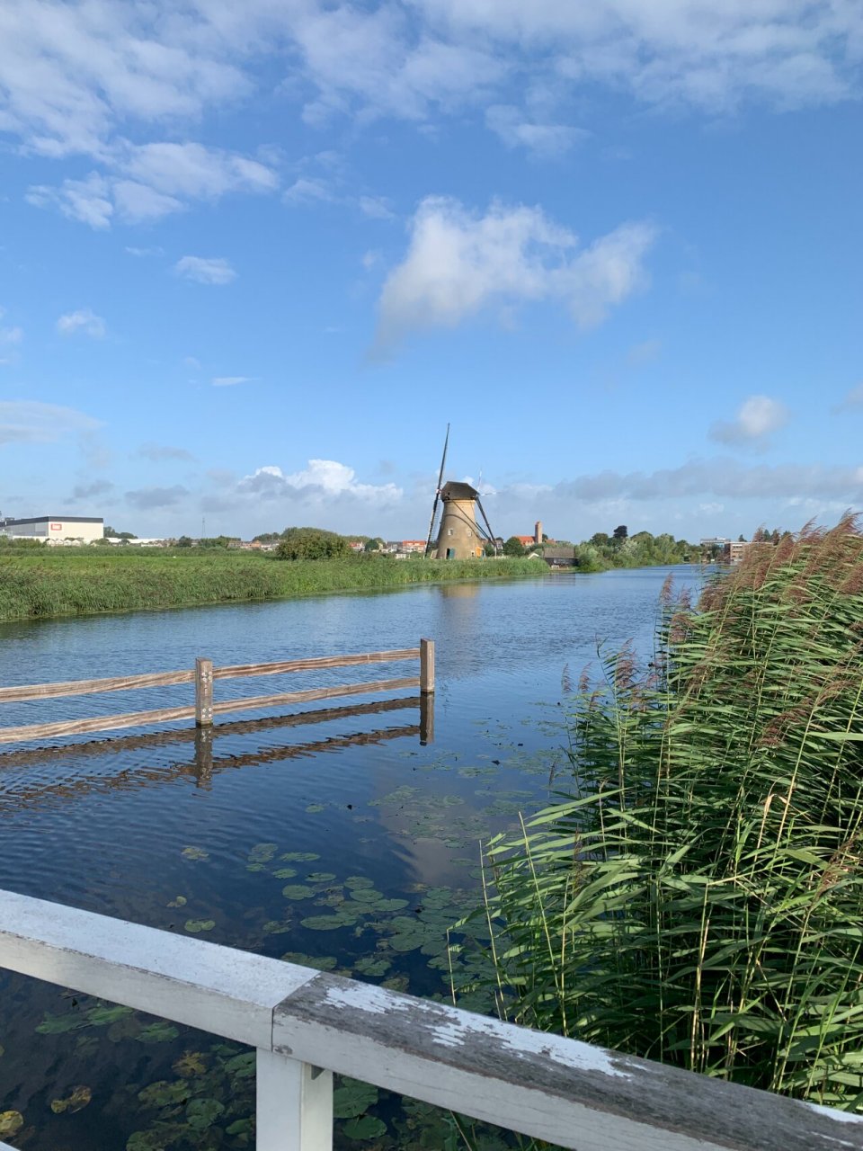 亲历莱茵河多瑙河4国15天游轮行程和tips 前几年去了维京vikings的阿