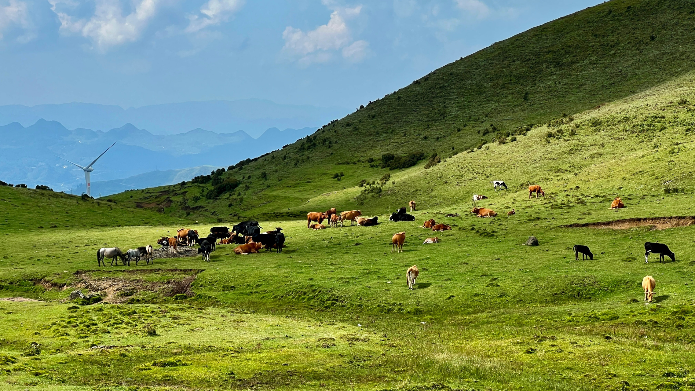 位于六盘水市盘州市乌蒙镇与坪地彝族乡境内.