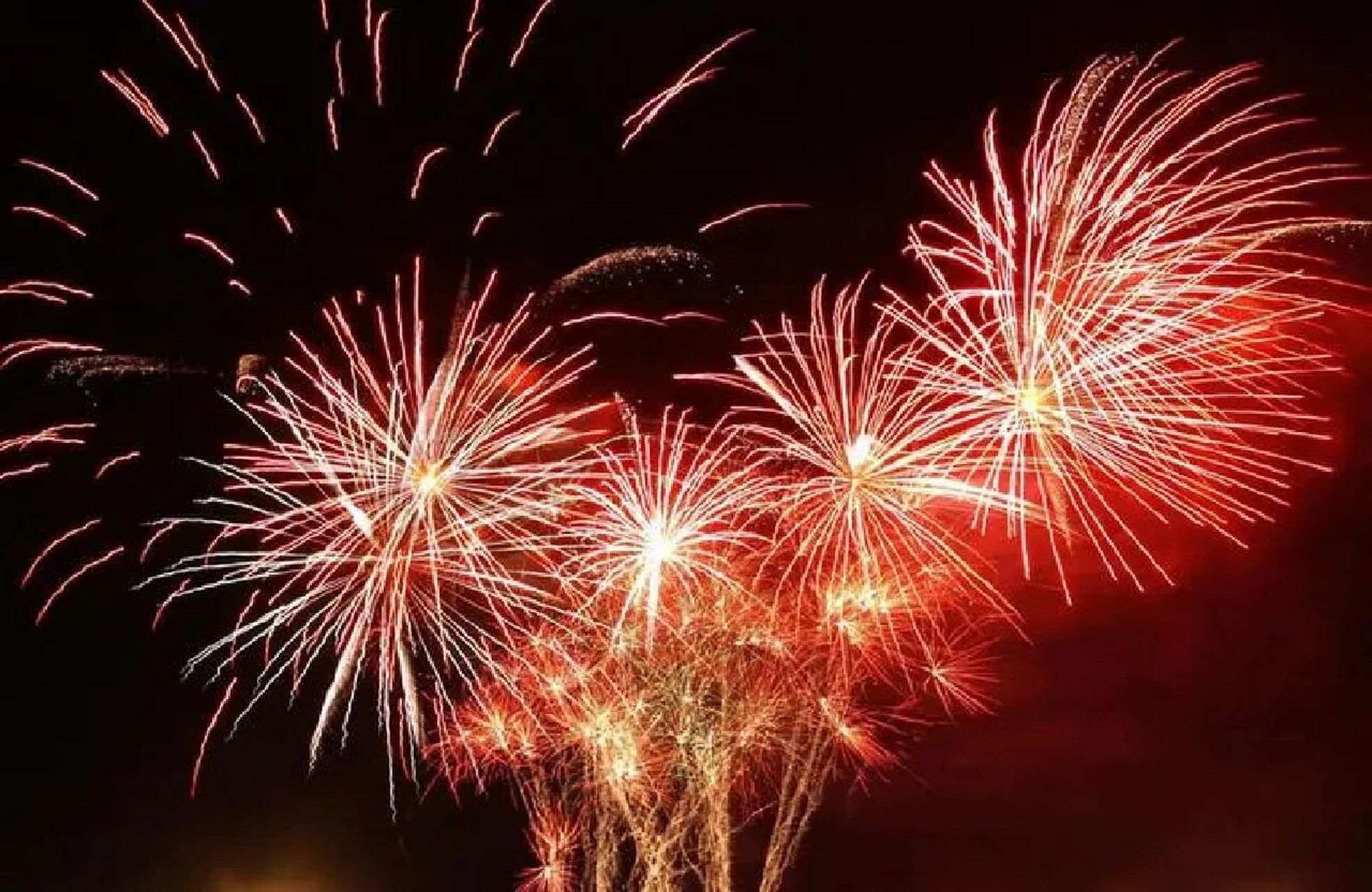 烟花像一支火箭一样以最快的速度飞向夜空,再以优美的姿态,协调的动作