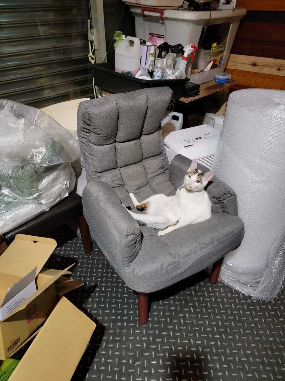 董事长的坐姿总是很豪迈!