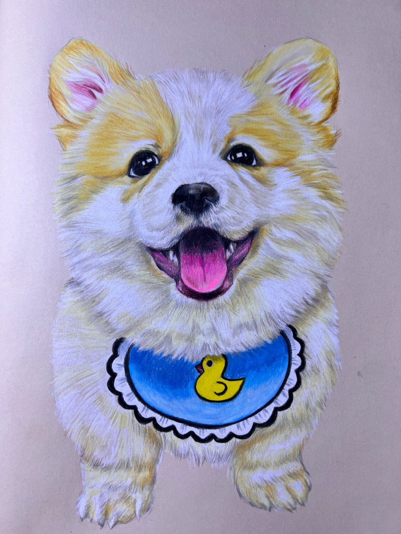 一只小柯基彩铅手绘插画(附步骤图)