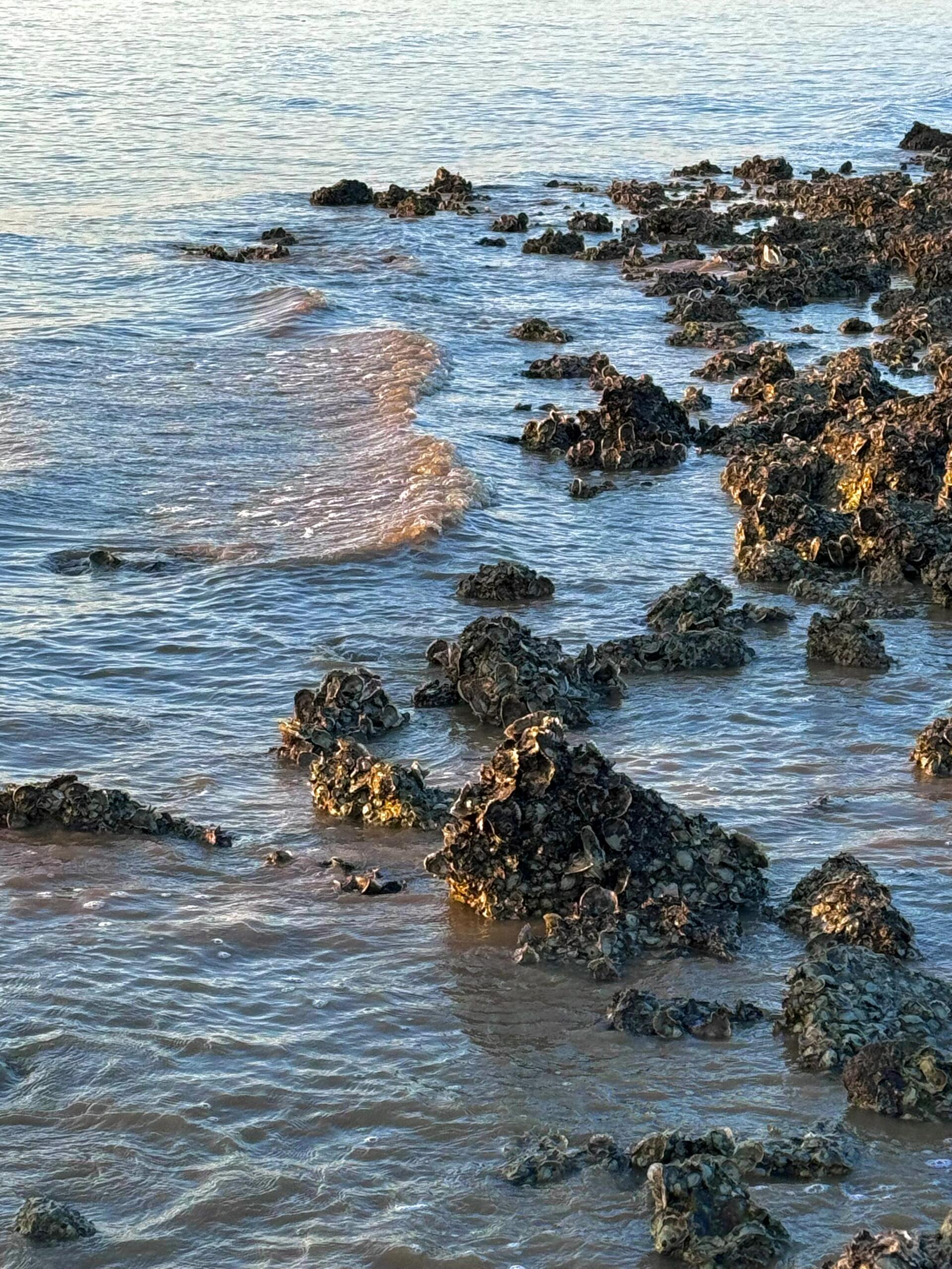 深圳宝安区海边景点图片