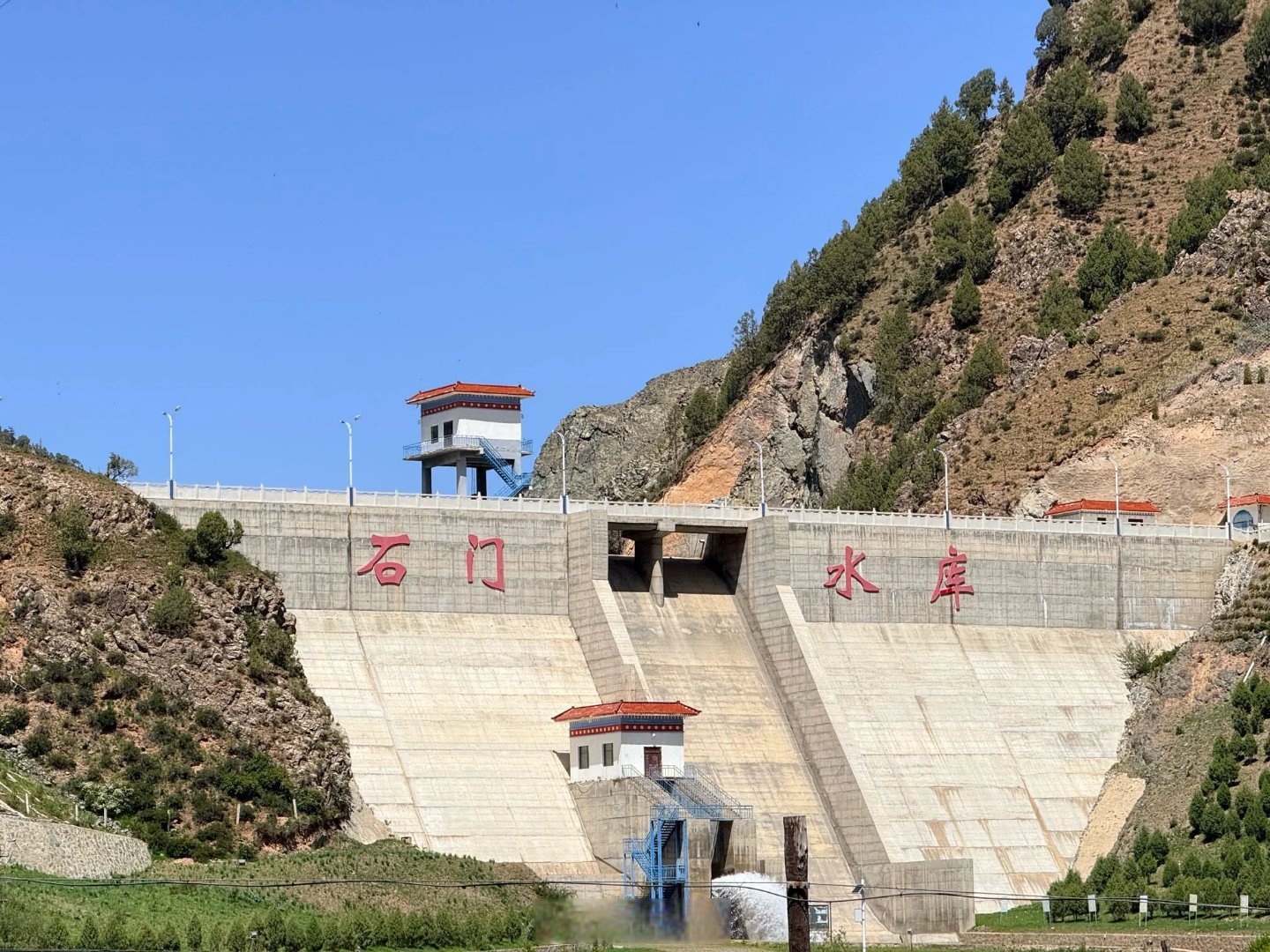 天祝漫山遍野的杜鹃花开啦♀石门镇 兰州超话甘游记超话
