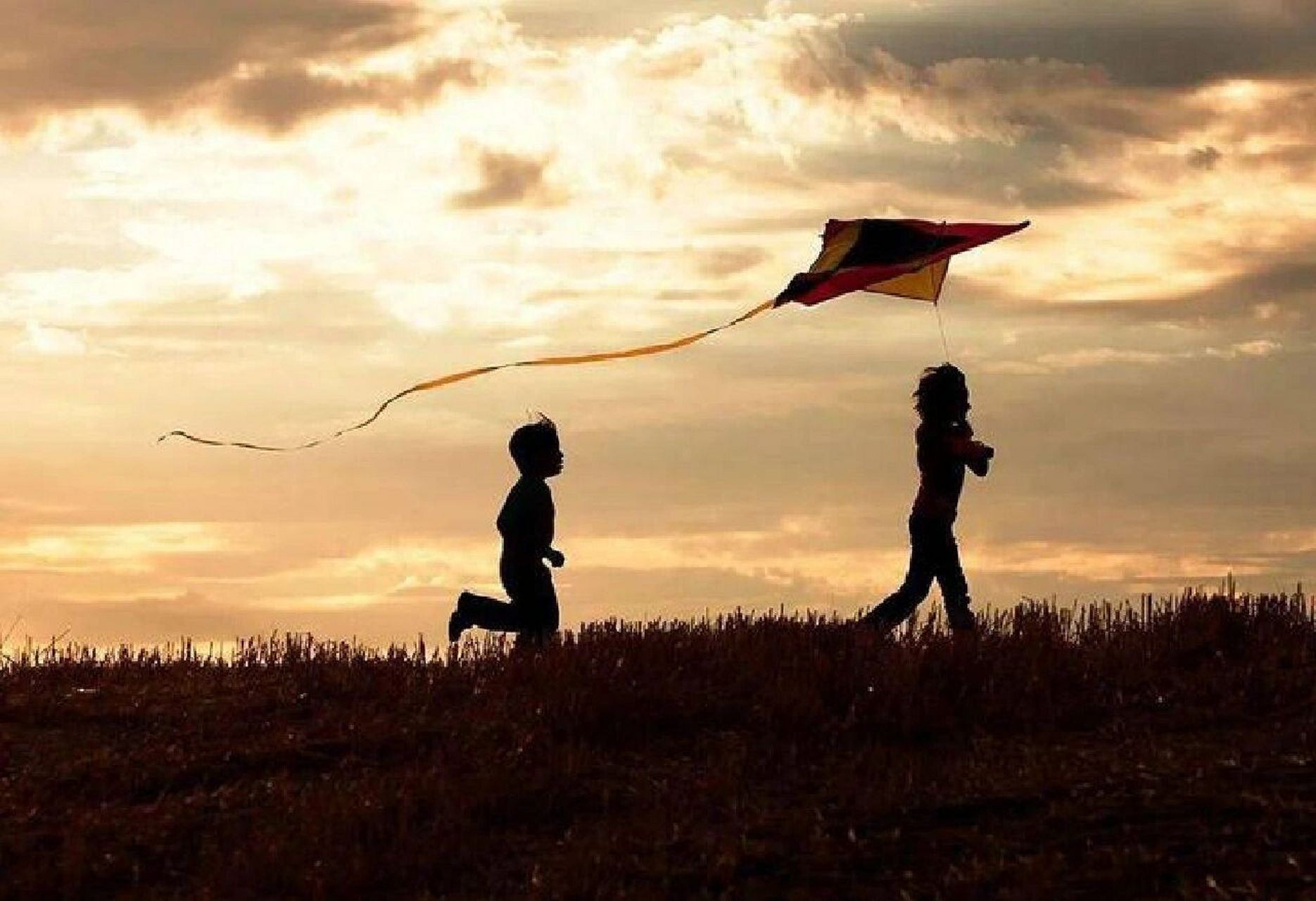 人》读后感 追风筝的人讲述的是阿富汗两个小孩儿阿米尔和哈桑的故事