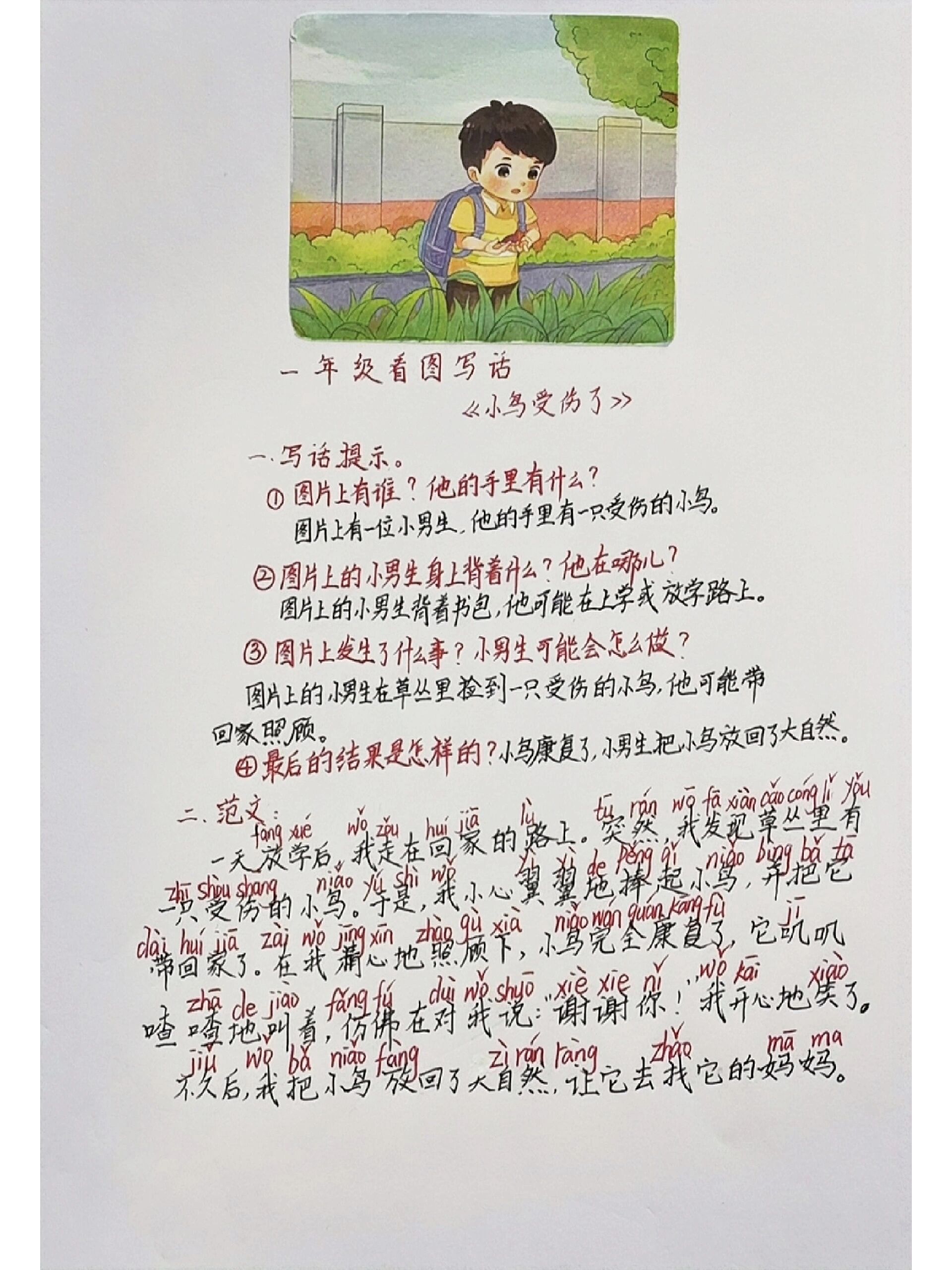 看图写话《小鸟受伤了》