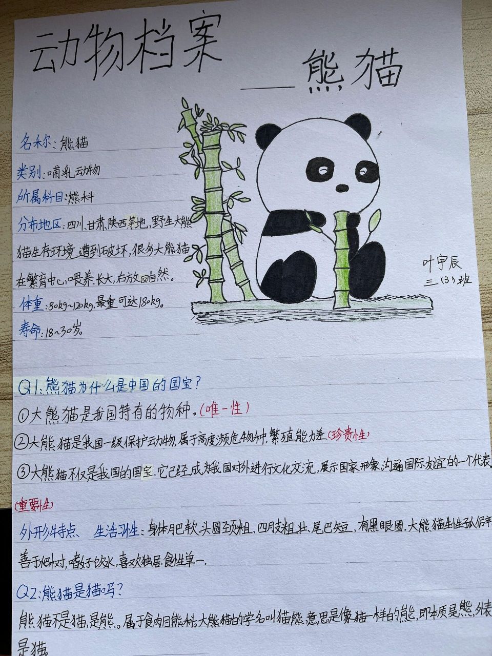 大熊猫资料三年级下册图片