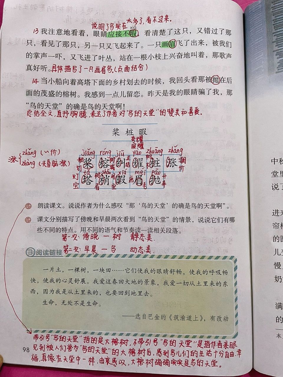 五上语文23《鸟的天堂》课堂笔记 今日打卡949494