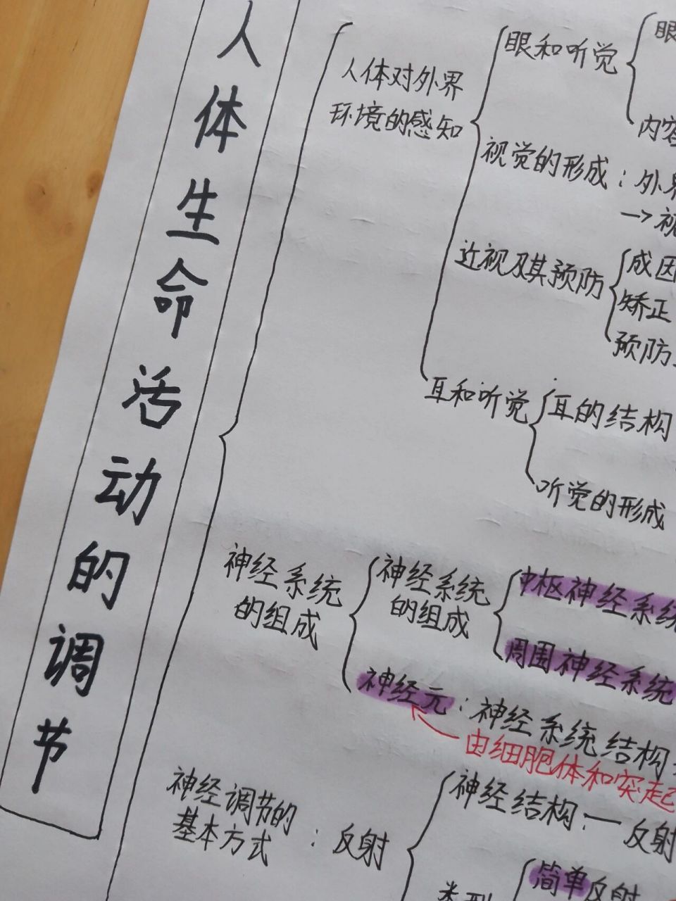 七下生物第六章思维导图 (25 6106_6107)257878 十年