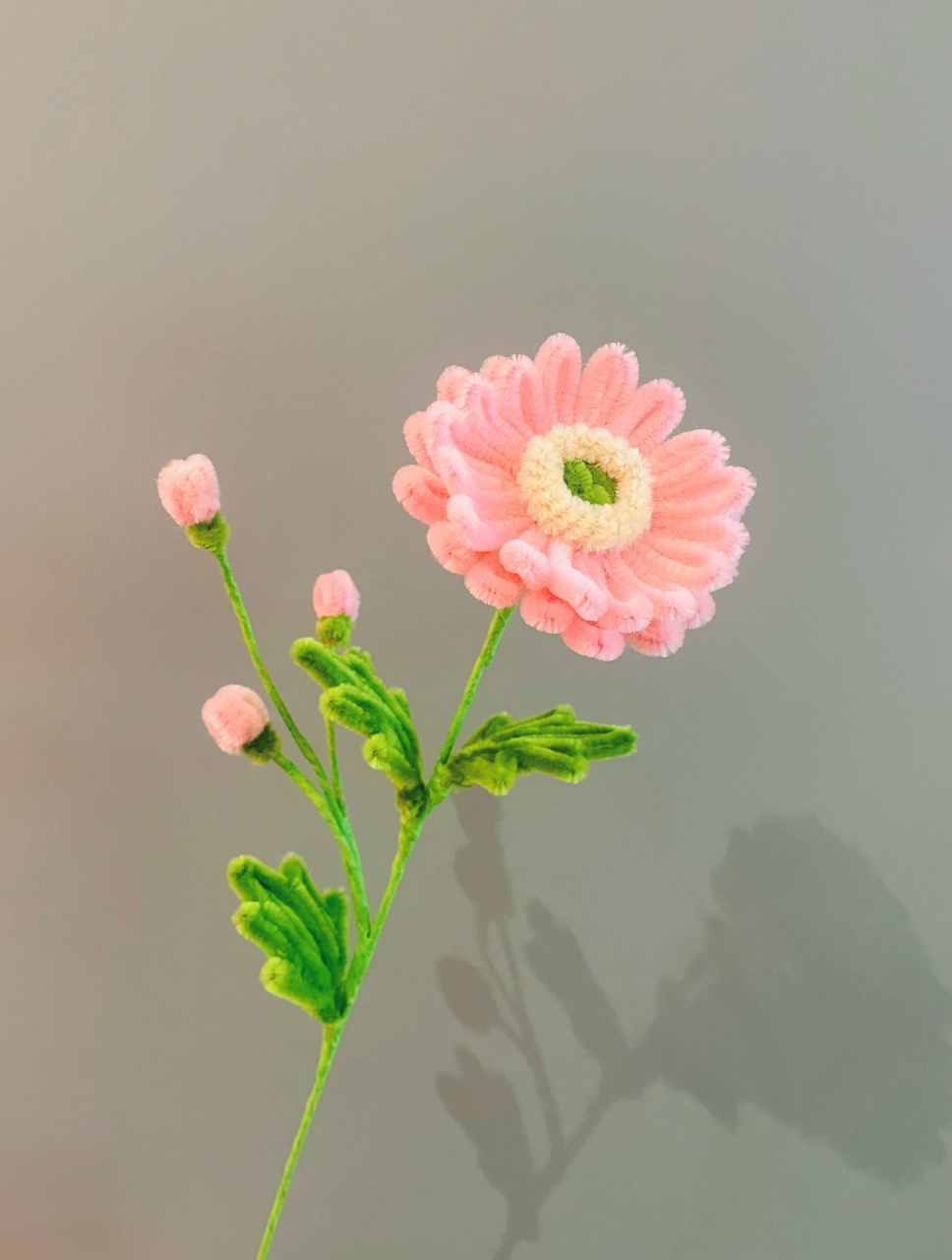 迎春花,玫瑰,蓝水滴花,洋甘菊,虞美人,小柿子,白玉兰,向日葵,桃花