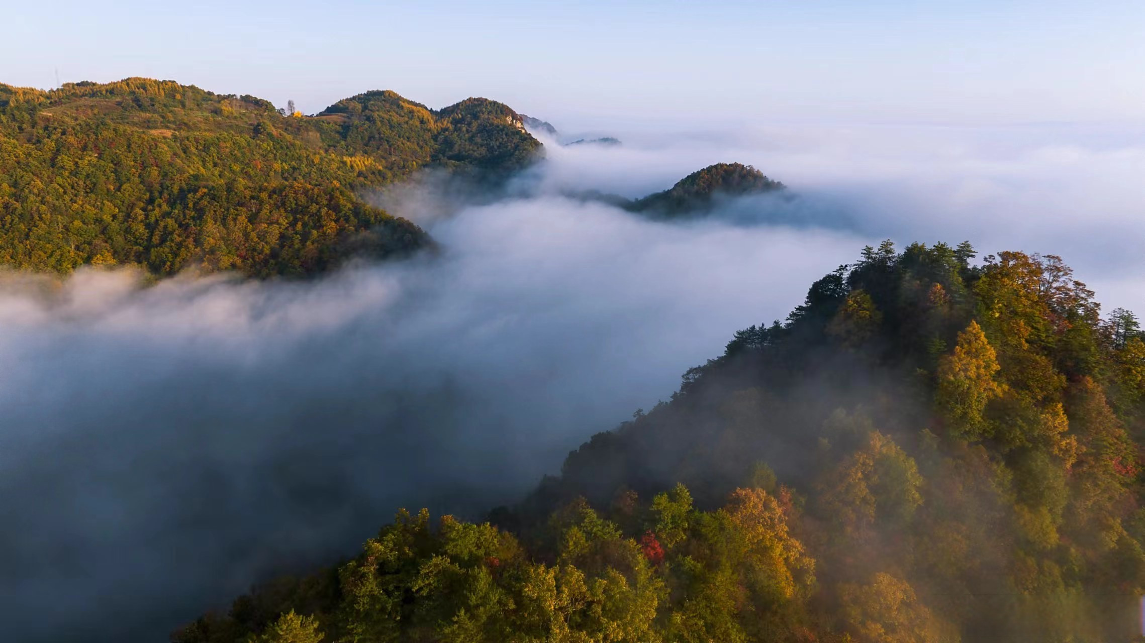 #陇南快讯# 金秋时节,徽县青泥岭频现壮美的云海景观,茫茫云海翻涌在
