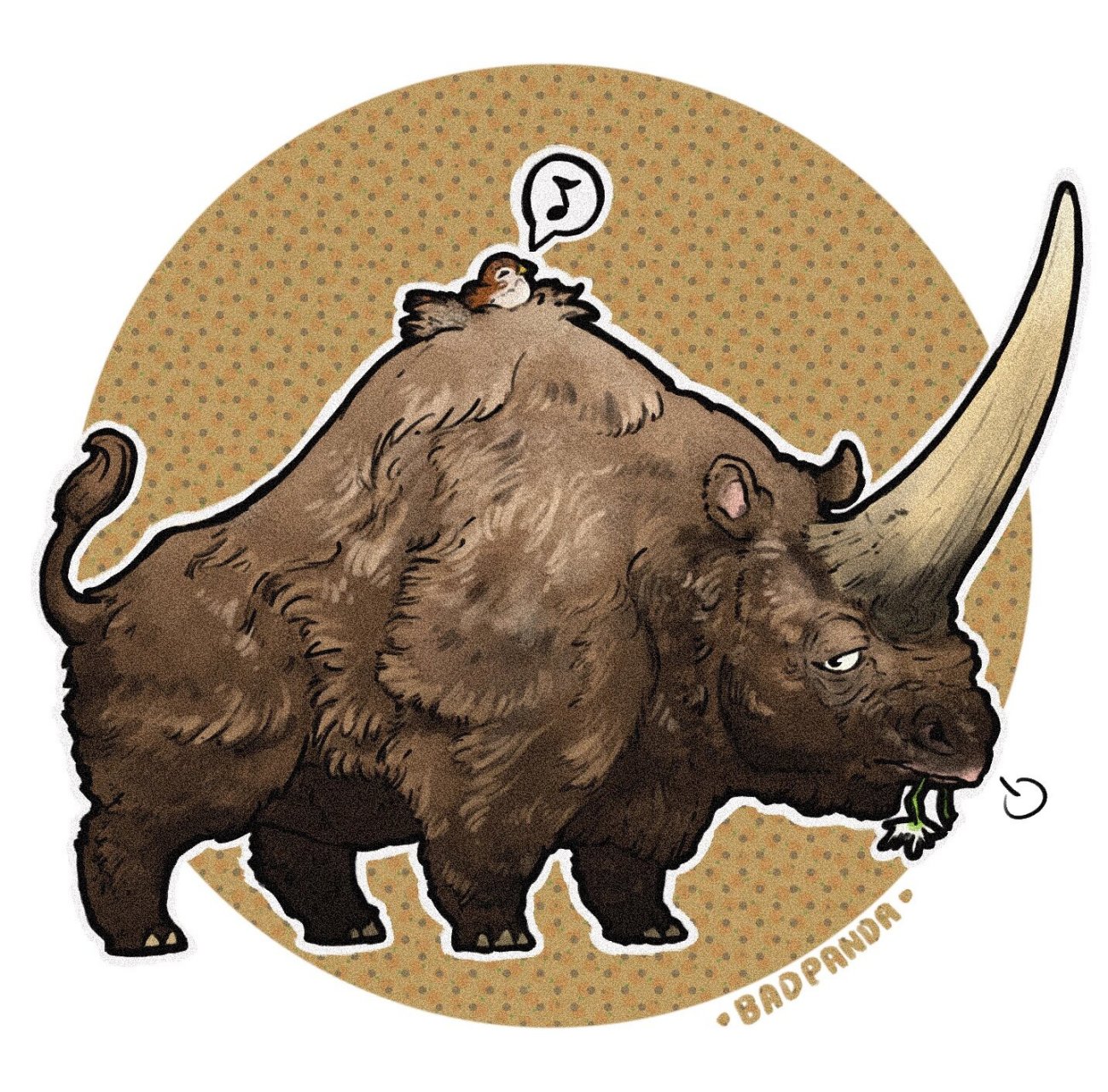 画个古生物第三十九期——板齿犀 板齿犀来啦这些巨大的独角犀牛生活