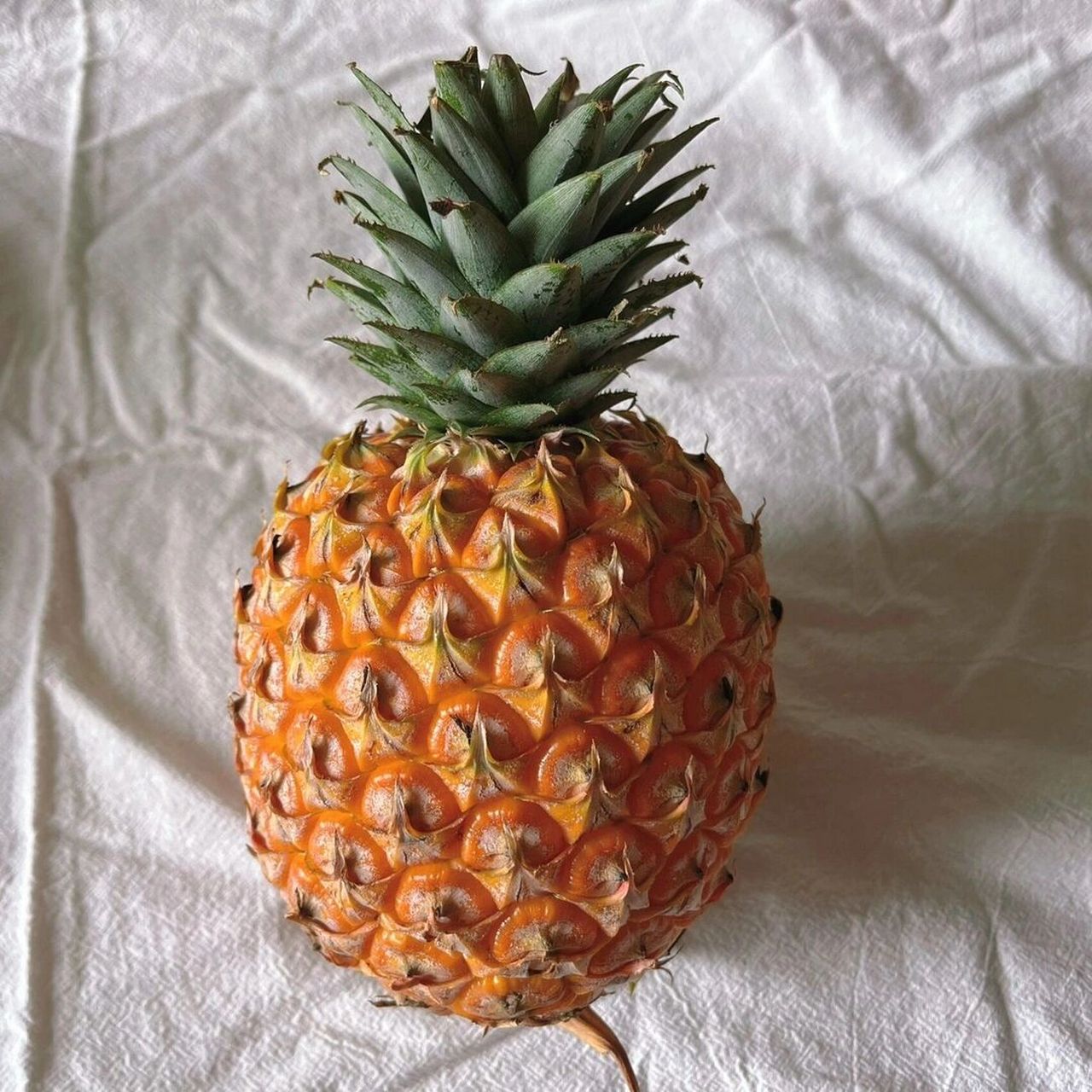 小红书火热的芒果凤梨来啦7575 火热的芒果凤梨 吃芒果凤梨享受的