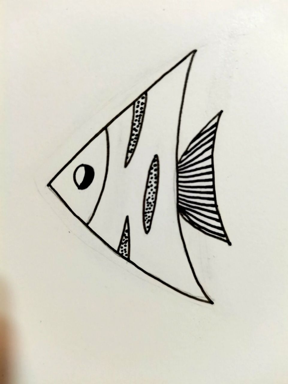 不同种类多小鱼 简单小鱼简笔画