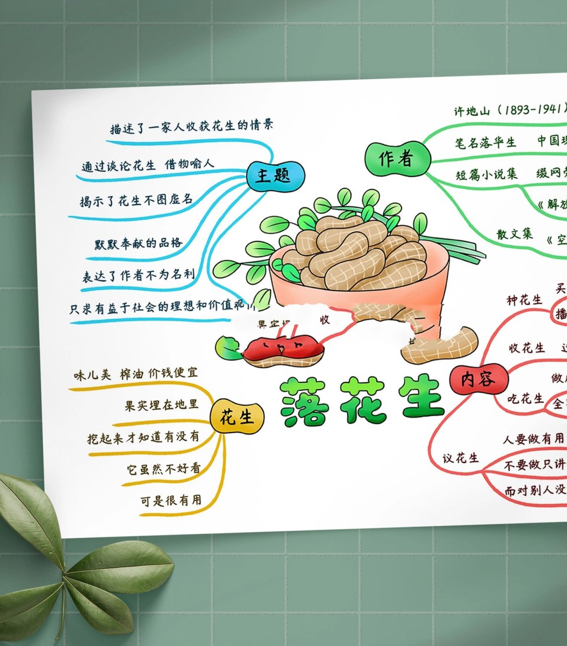 落花生课文思维导图图片