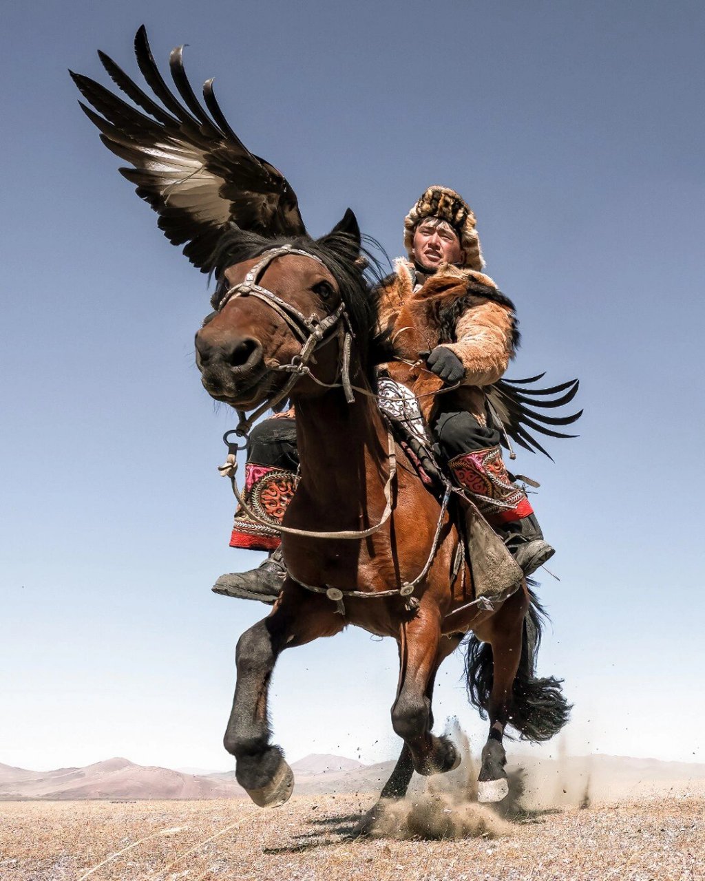 蒙古国9899西部猎鹰节摄影骑马猎鹰狩猎 猎鹰节的玩法:西部猎鹰