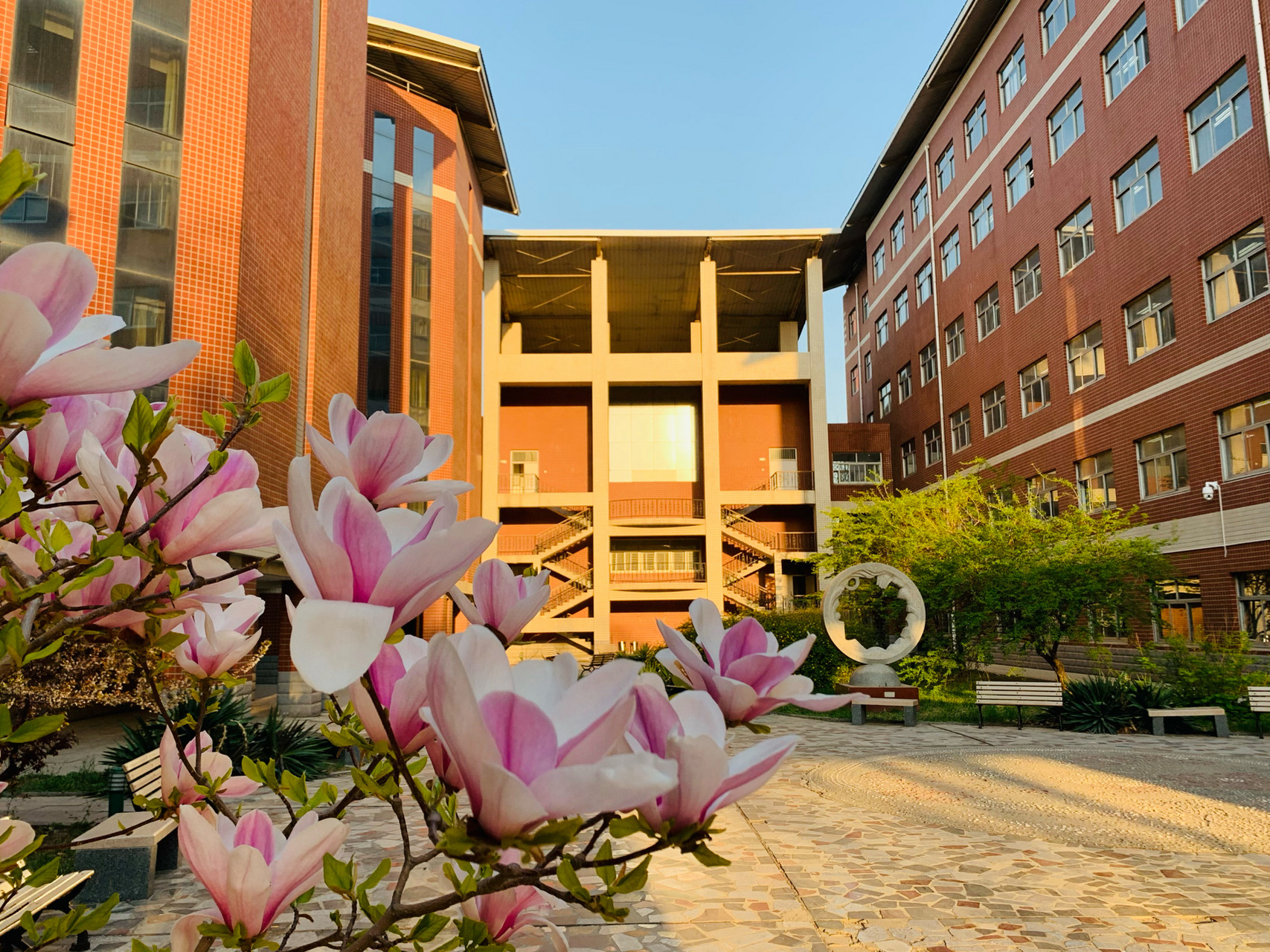 河北大学|我们大学的春天巨好看 我是河北大学本科生,专业在新校区