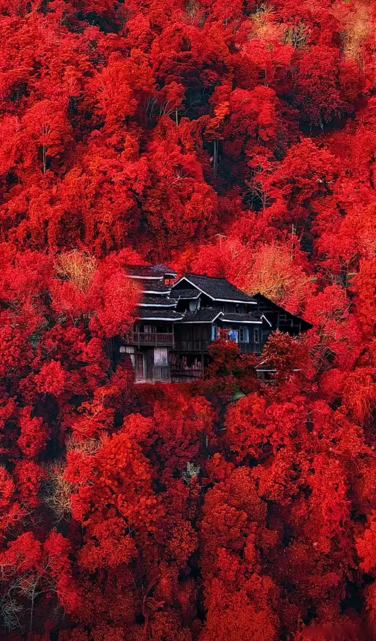 " 陈九川说:"功夫的确很难.