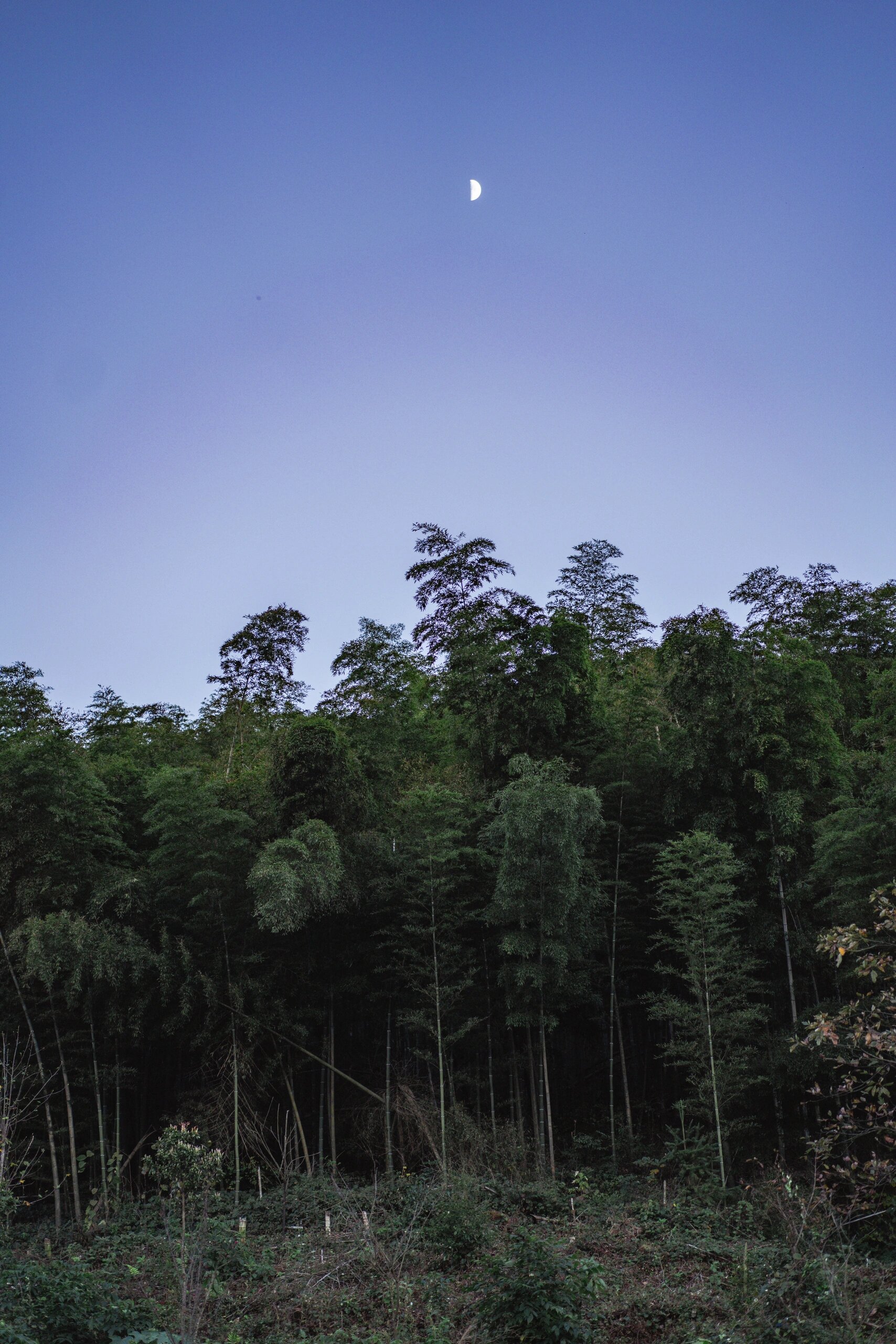 衡东四方山森林公园 近期最满意的一次爬山 	 山顶的风景真的很美很美