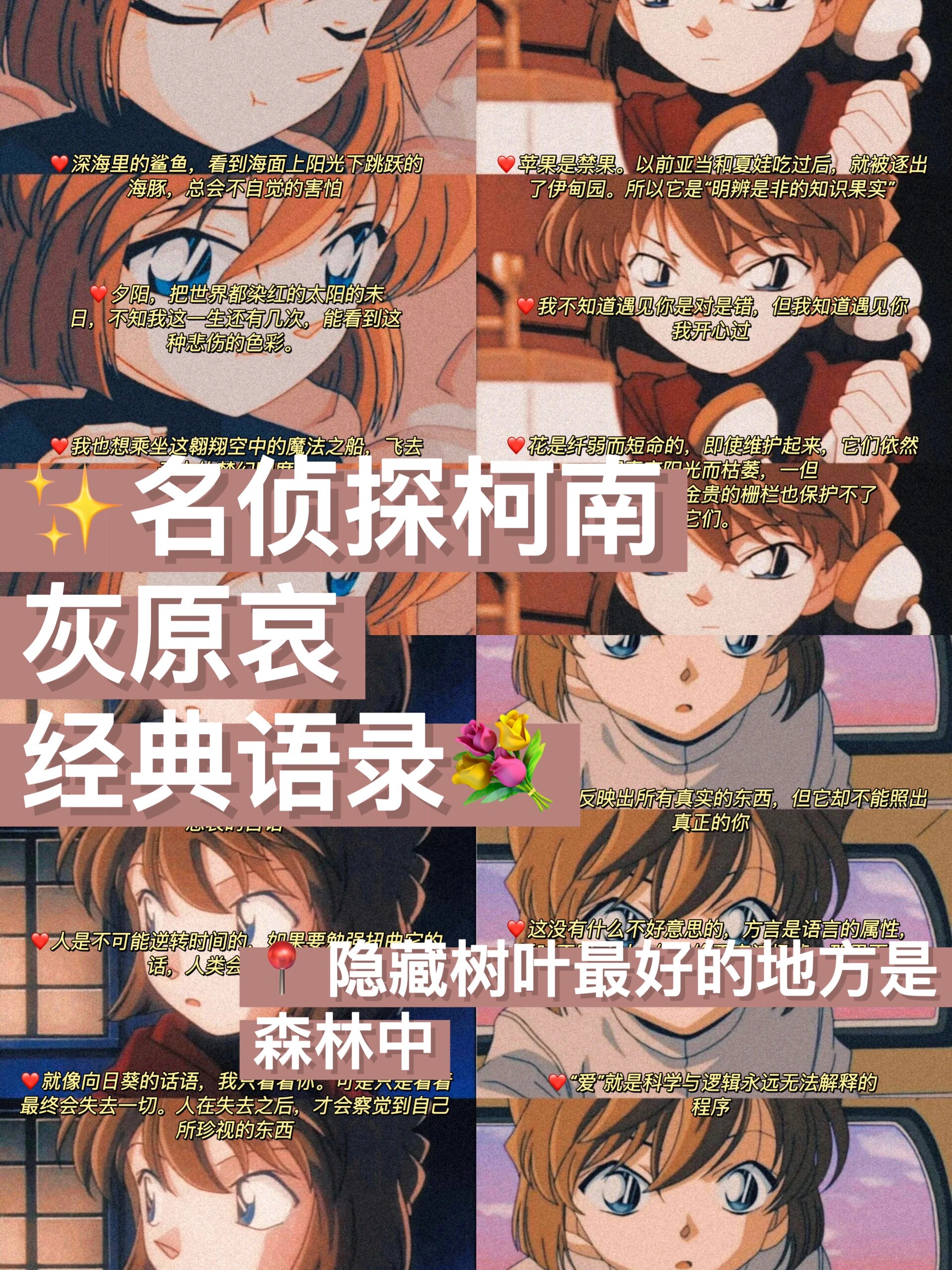 98专属于灰原哀的经典语录