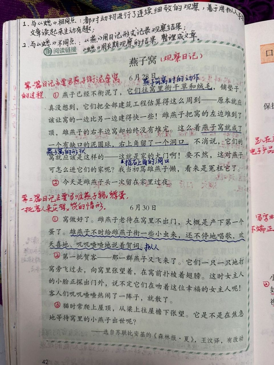 46615上备课笔记/《蟋蟀的住宅》05 #语文笔记# #四年级上册