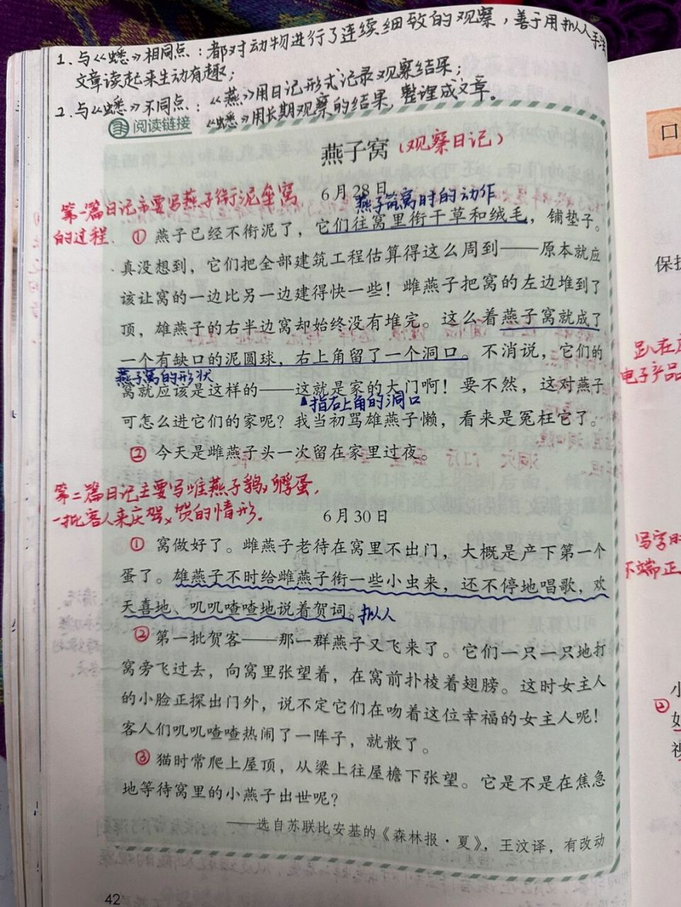 蟋蟀的住宅生字图片