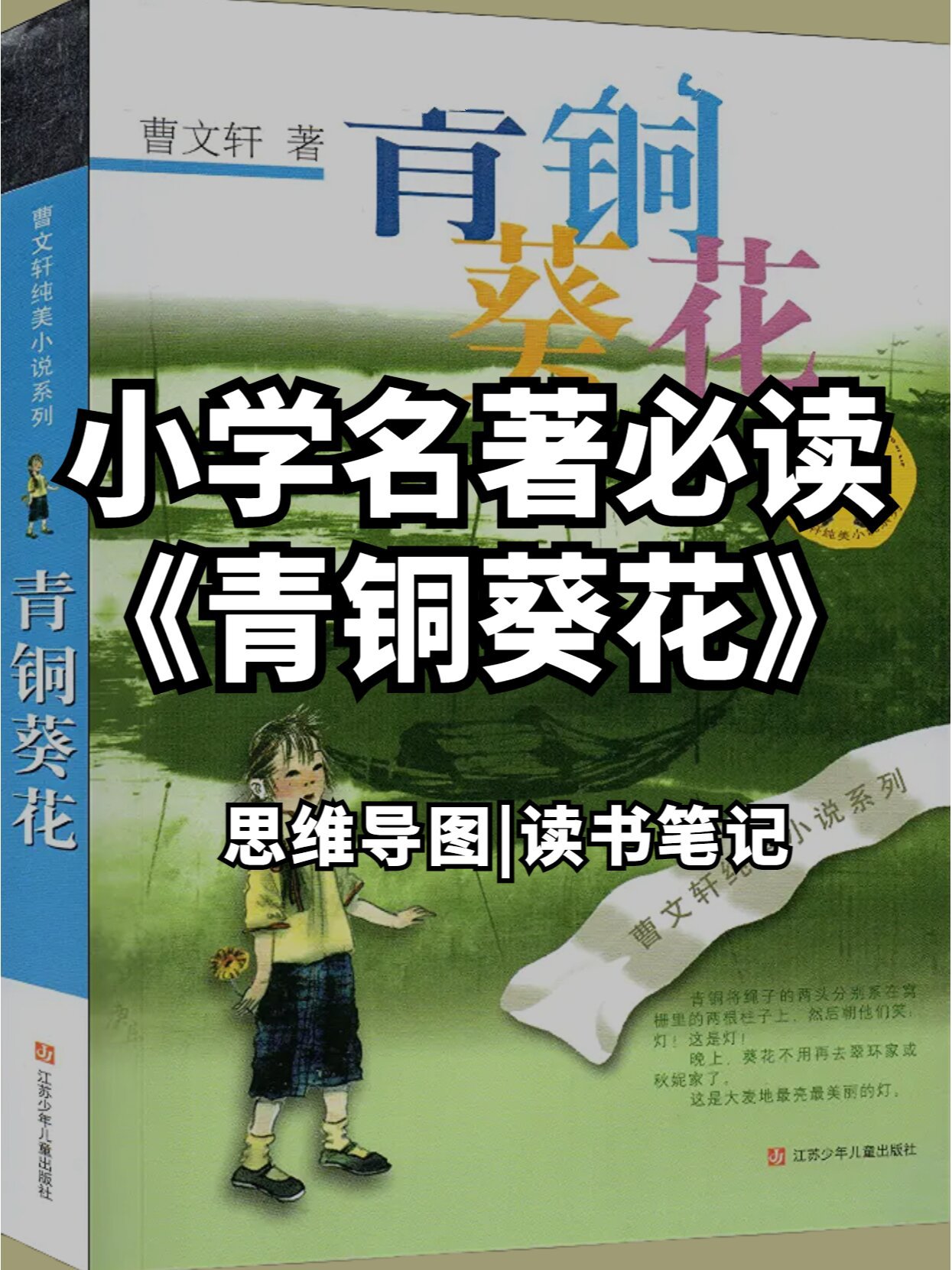 小学必读名著《青铜葵花》思维导图详解