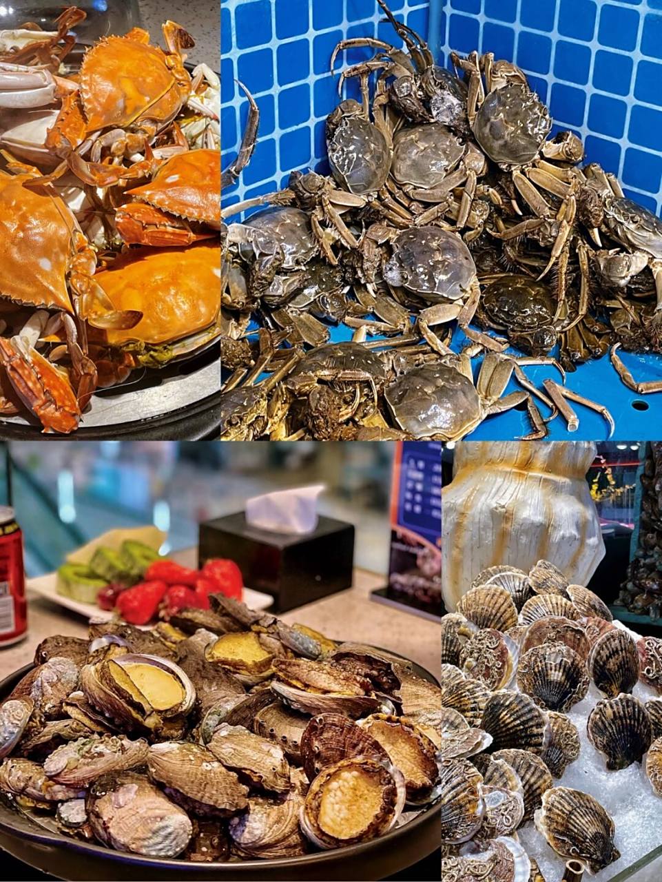 沈阳探店|吃鲜活"壕"海鲜,我来连城海产自助 98"沈阳哪家海鲜自助更