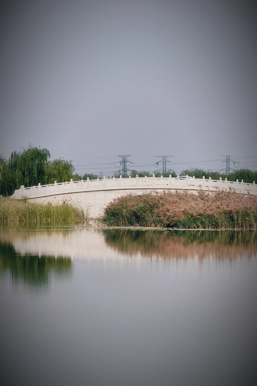 天津西青王稳庄生态绿廊 全攻略 交通:自驾.