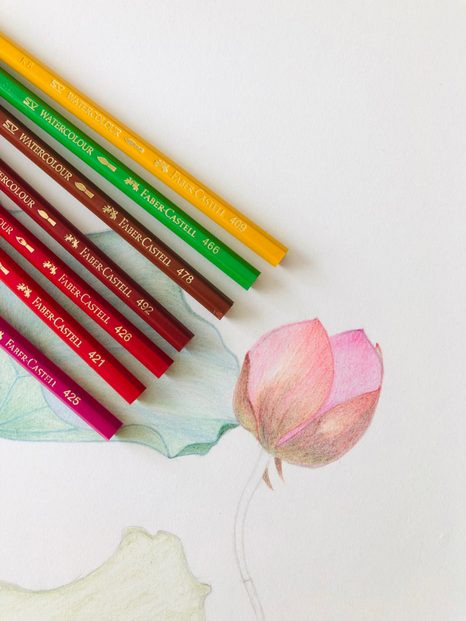 编号255(原创) 8k素描纸 辉柏嘉60色水溶性红盒彩铅.