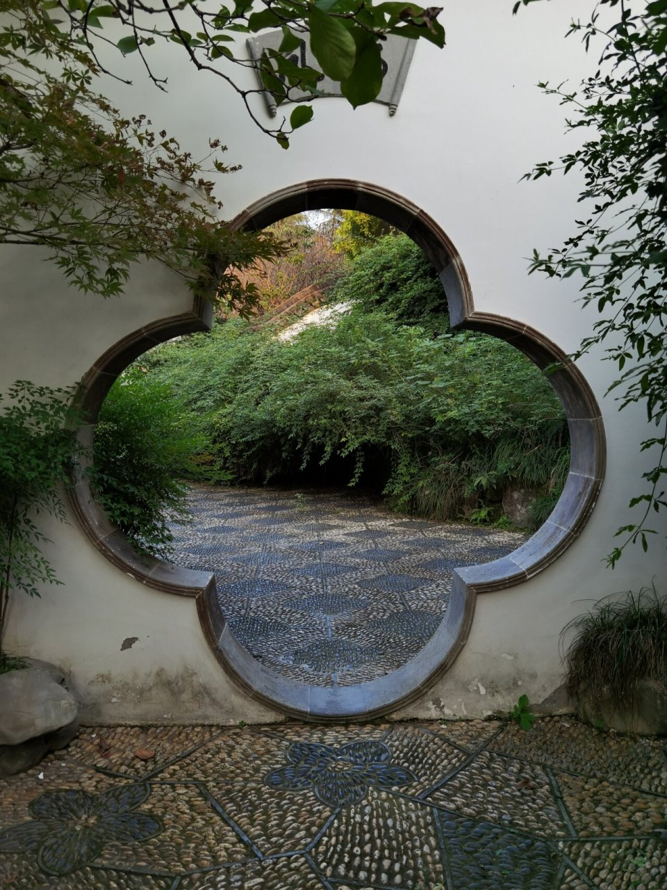 园林,漏景,窗景,框景 漏景.