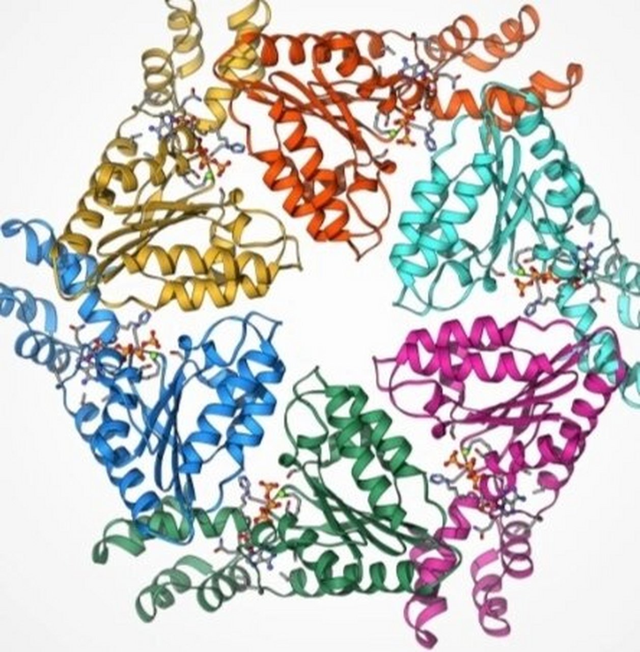 dna和rna的区别 dna, 即脱氧核糖核酸(deoxyribonucleic acid)是一种