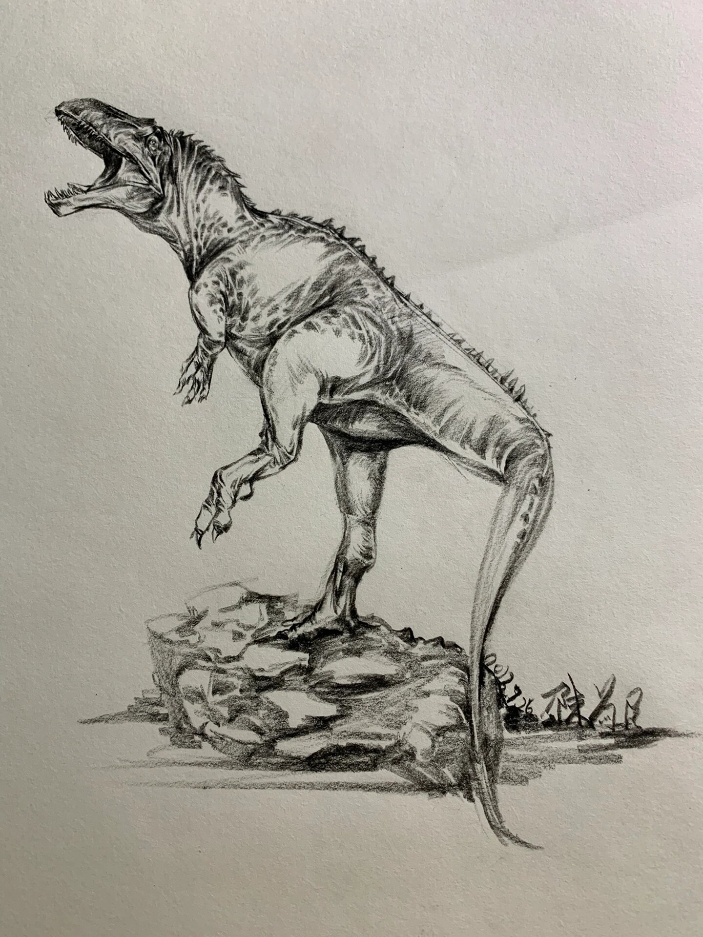 一天画一只恐龙-高棘龙