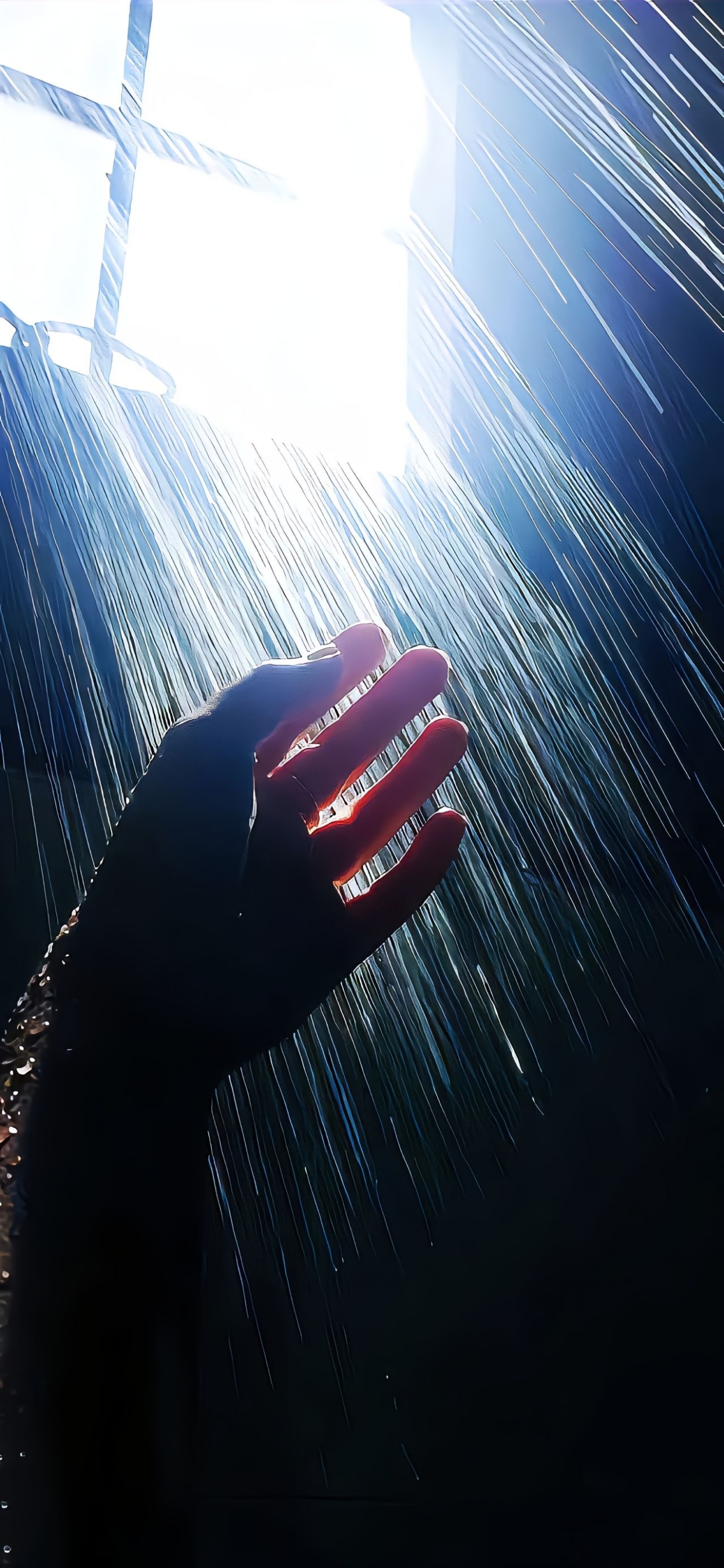 进取向上,心存感激,生活便处处是阳光.认准的路,就勇敢去走,别问归期