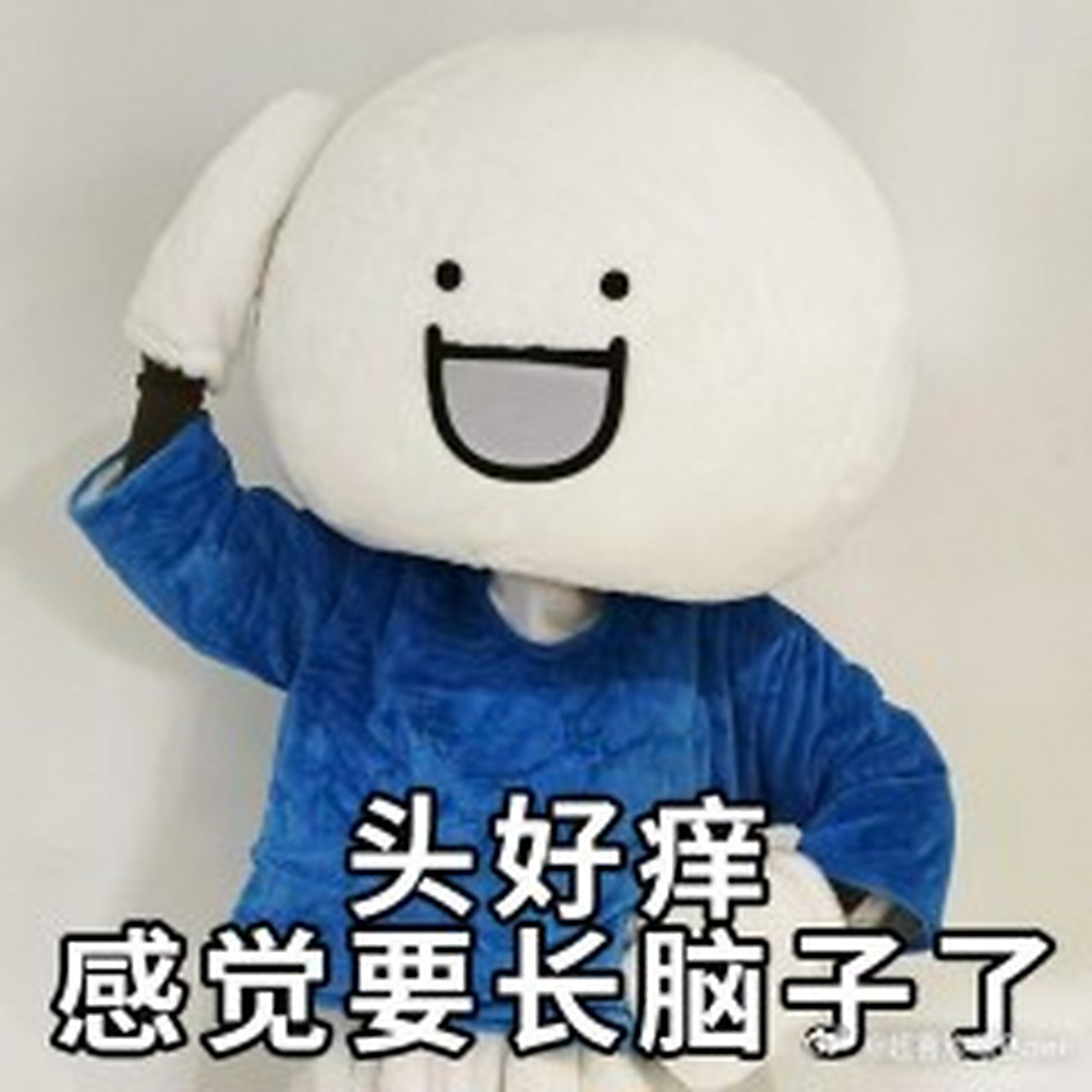 感觉知识要冲进脑子了 终于要长脑子了嘛