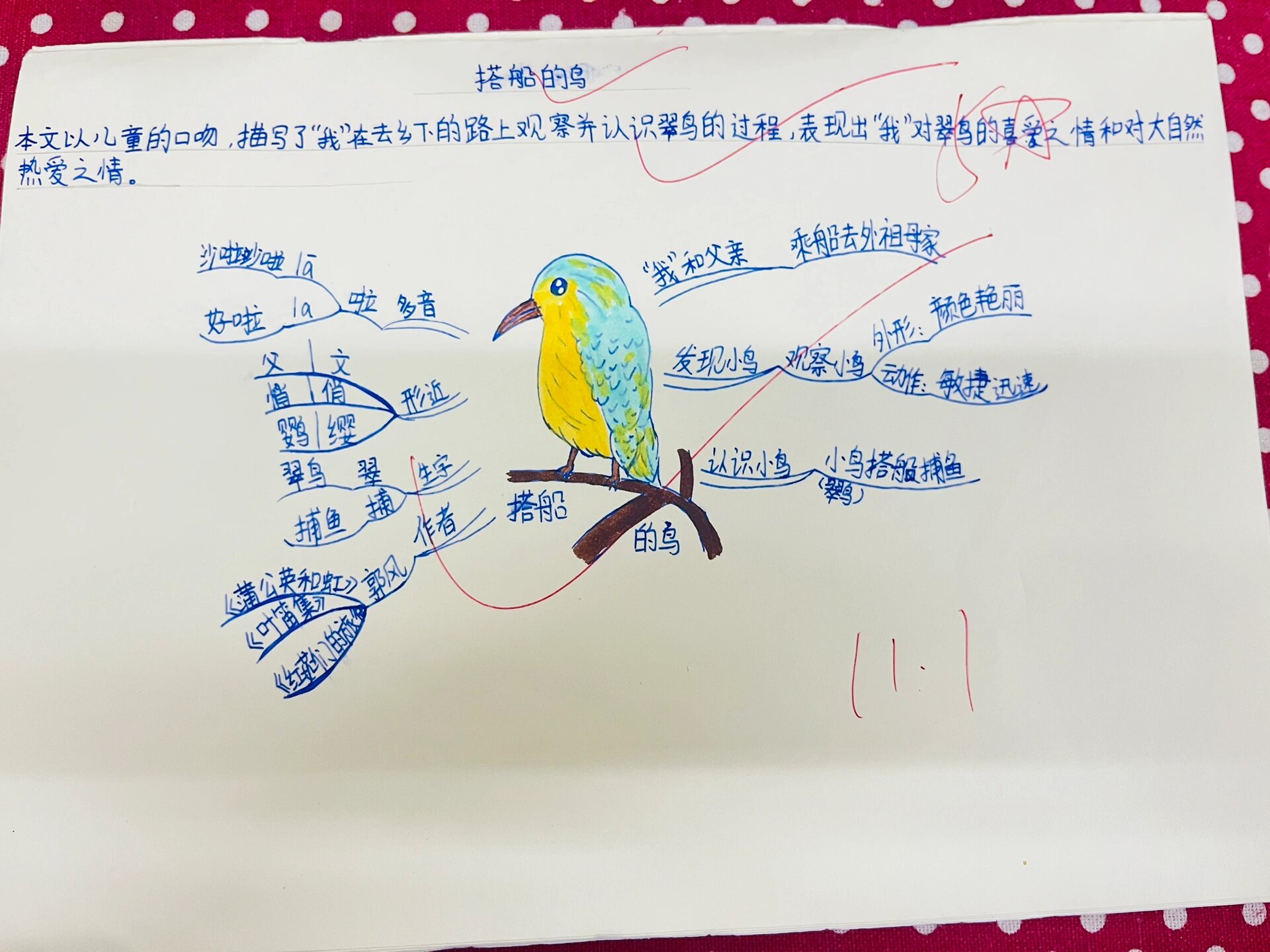搭船的鸟预习思维导图