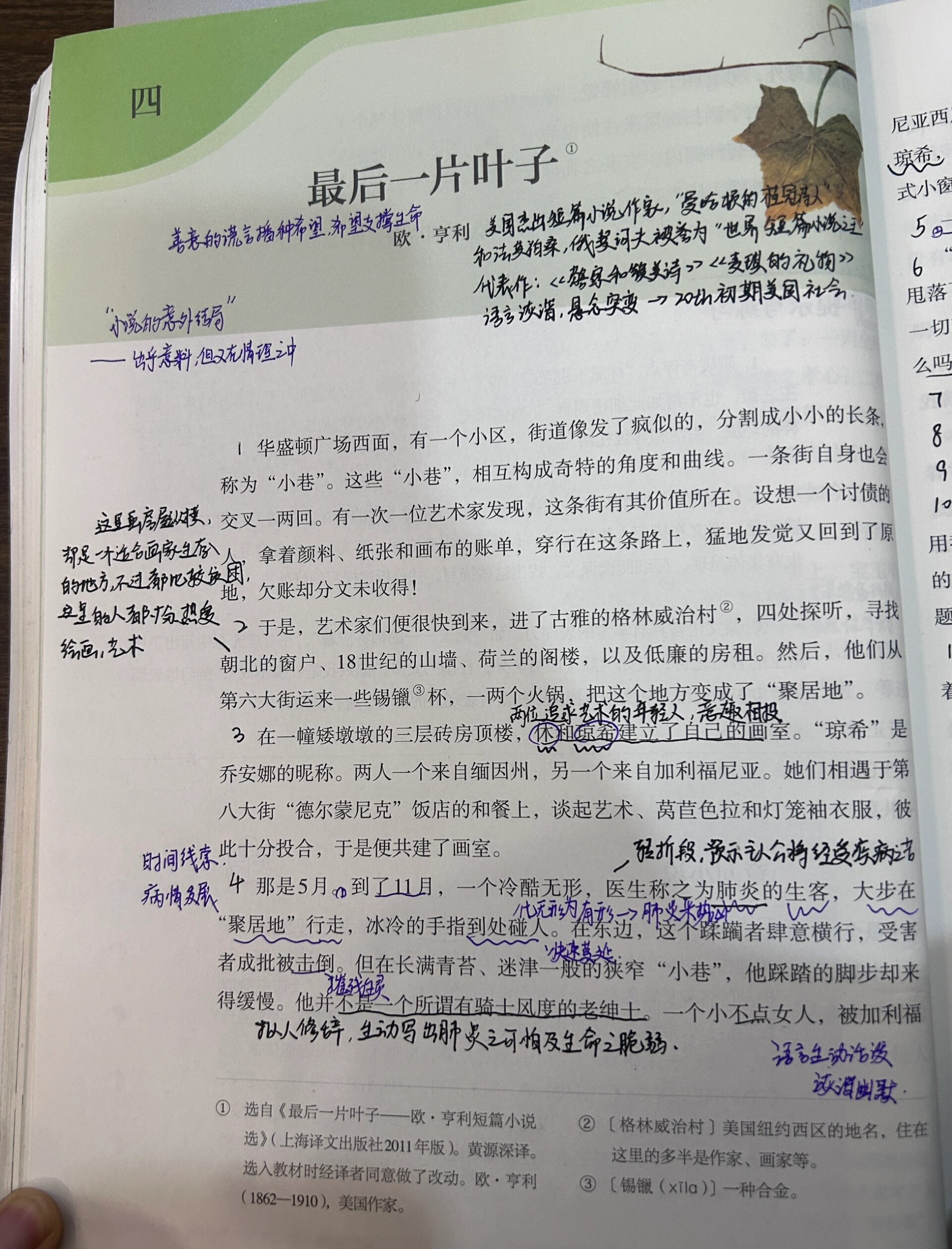 最后一片叶子人物形象图片