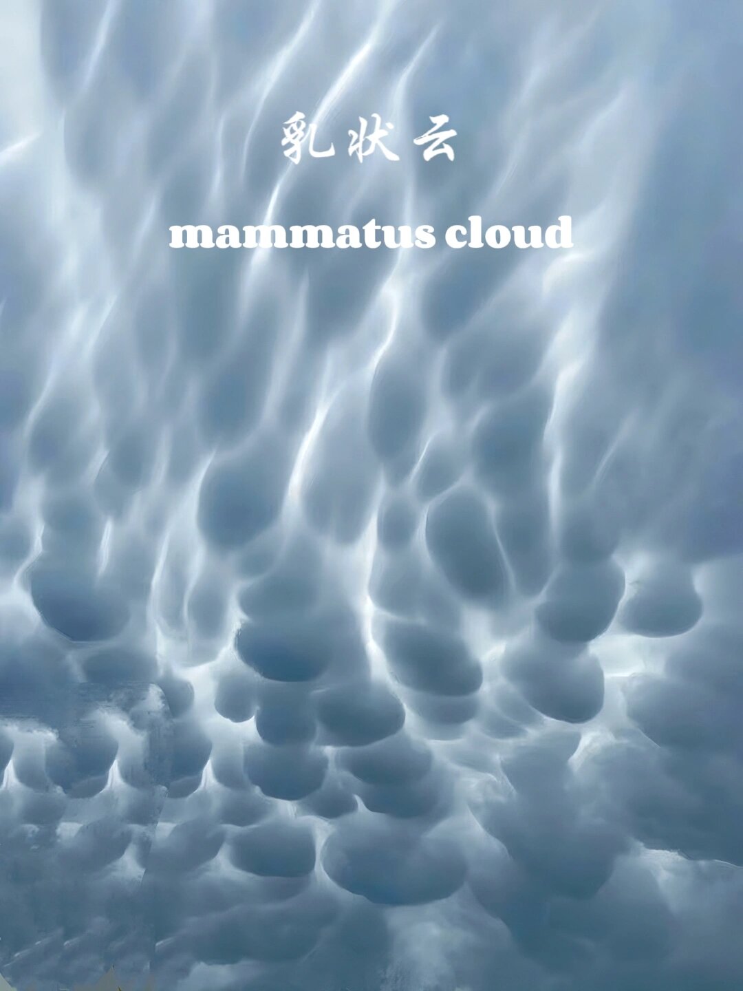 认识一种云|"识云秘籍"乳状云7815 99 解释:乳状云又叫悬球状云