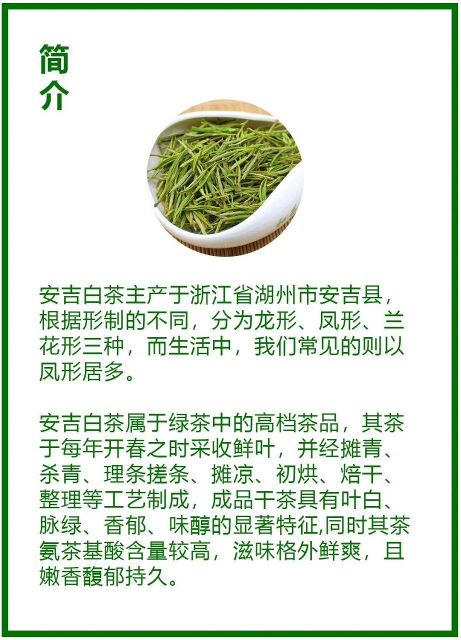 安吉白茶 带您每天了解一款茶:安吉白茶,虽叫白茶,却属于六大茶类中的