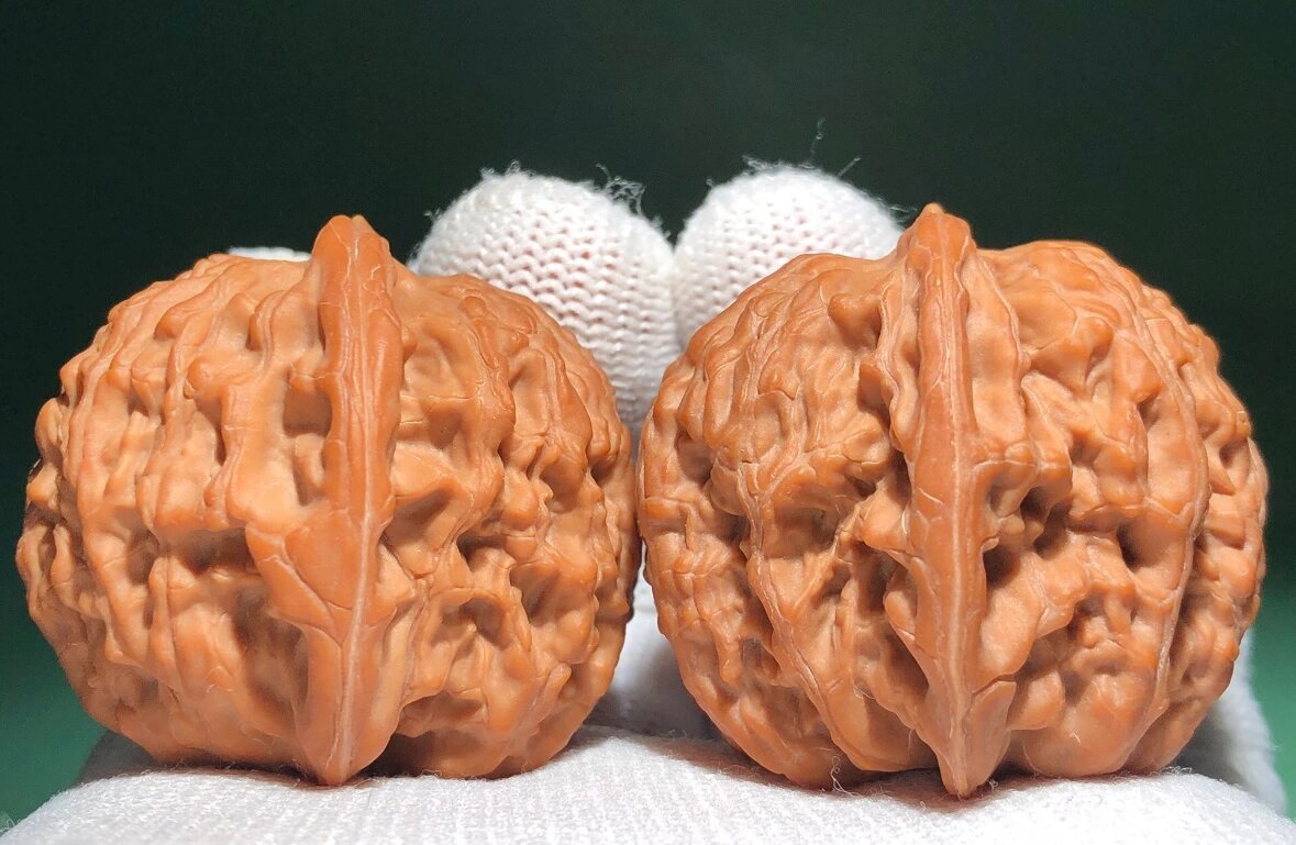 2023年新核,皇家正圆狮子头,全品无修!