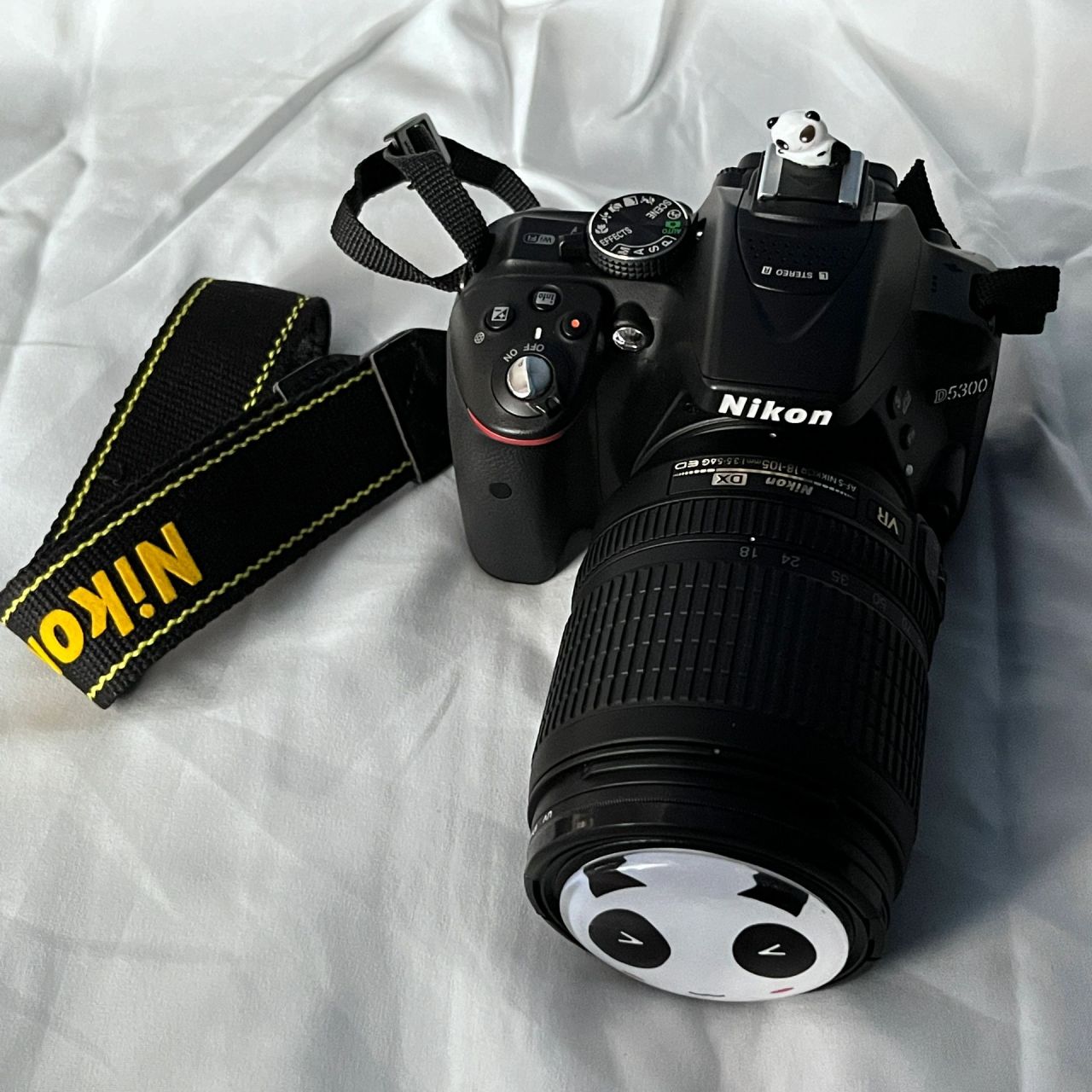 不靠父母全款拿下人生第一台单反尼康d5300 愿望清单进度条又往前一步