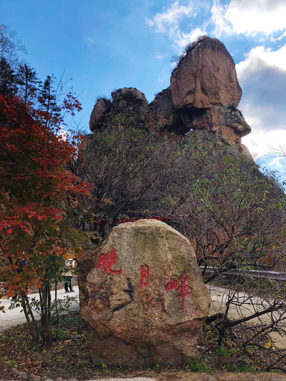 天桥沟森林公园门票图片