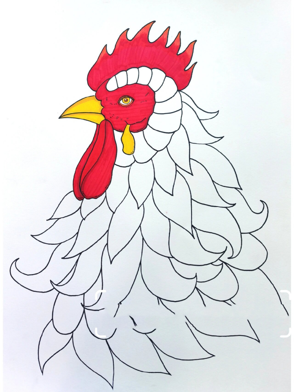 少儿公鸡线描画 适合小学生画的线描画,练习造型和控笔～ 临摹请注明