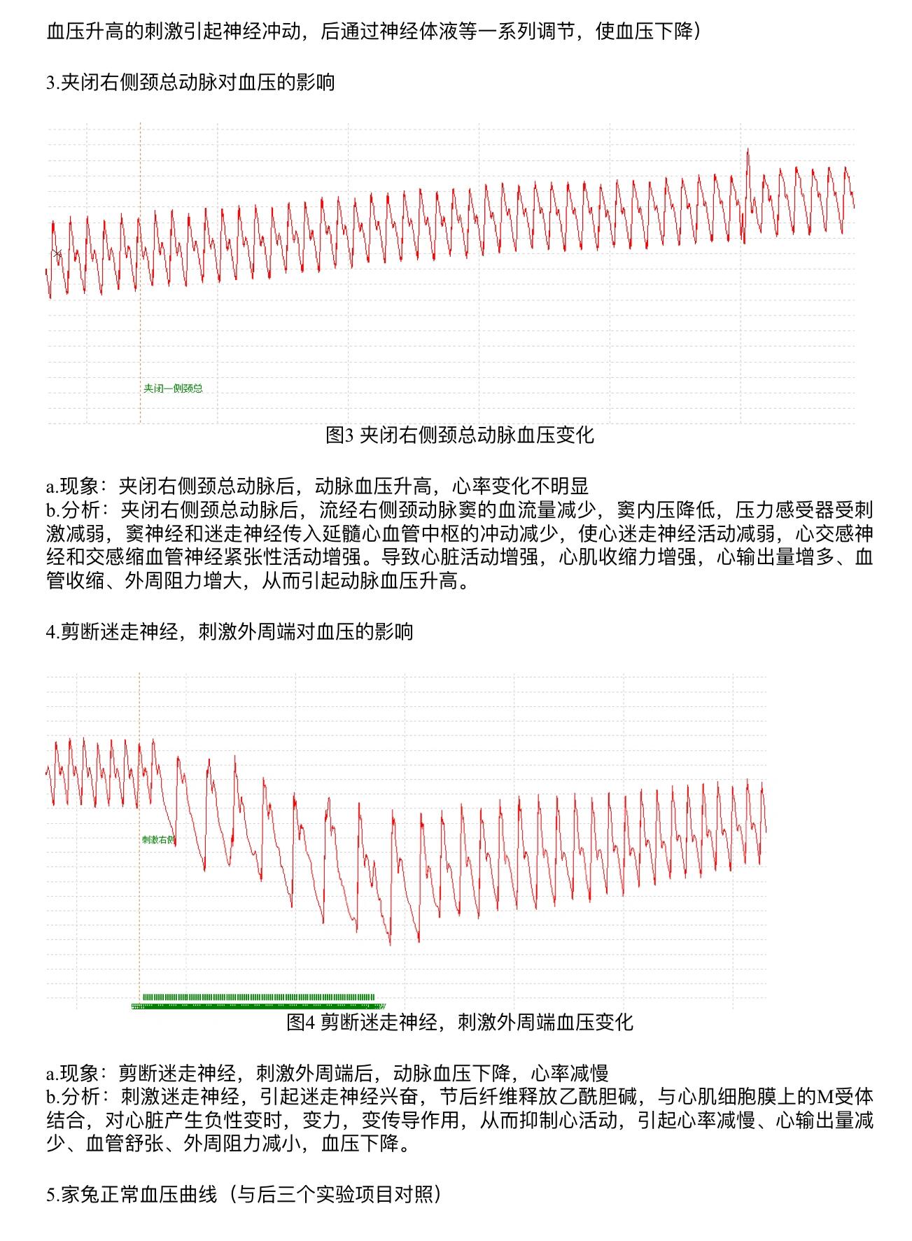 家兔正常血压曲线图图片