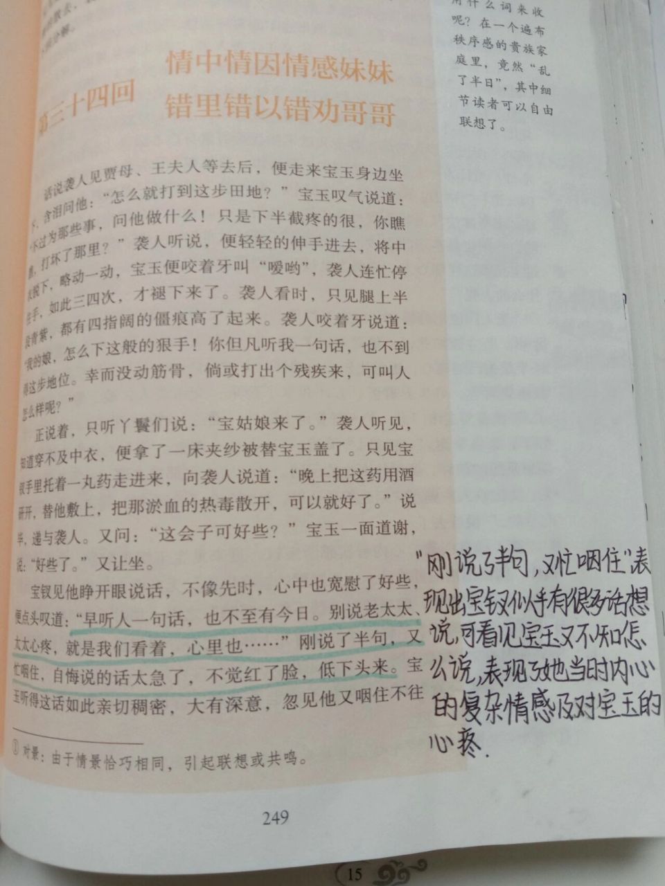 《红楼梦》第三十四回,第三十五回(上)批注.