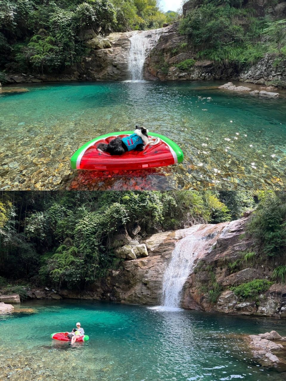 小狗玩水天花板——仙居淡竹 浙江台州仙居,這是一個在我收藏夾躺了