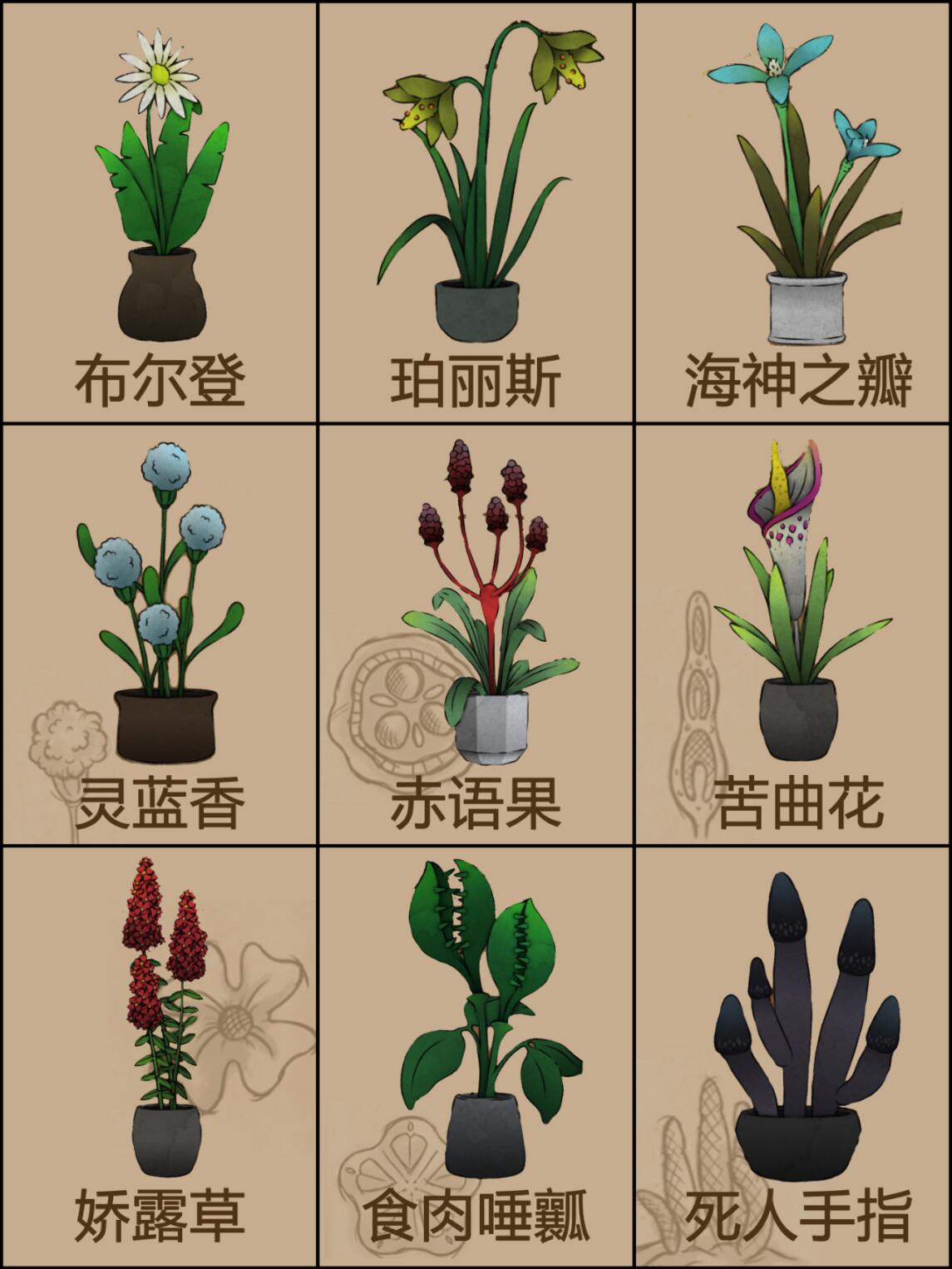奇异花园77种植物全图鉴