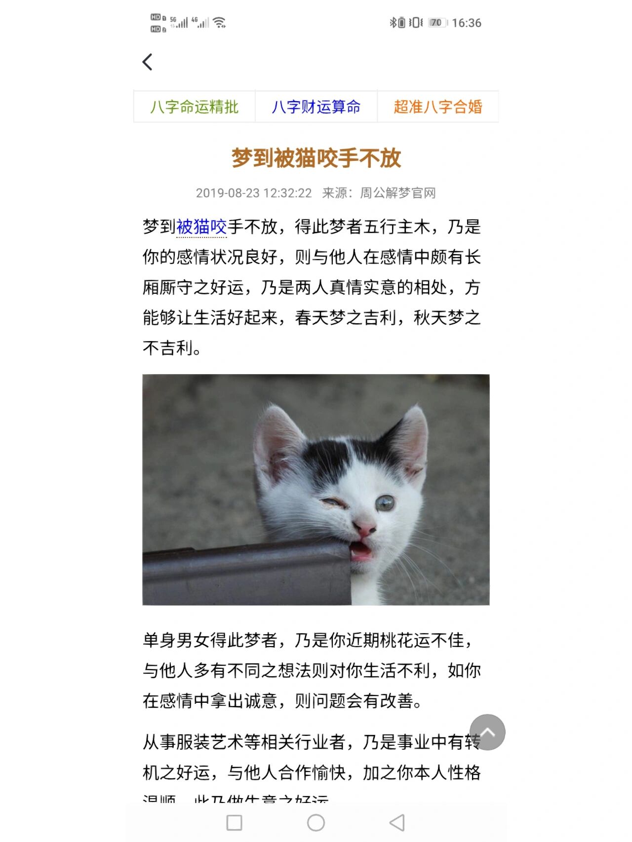 梦见被猫咬图片