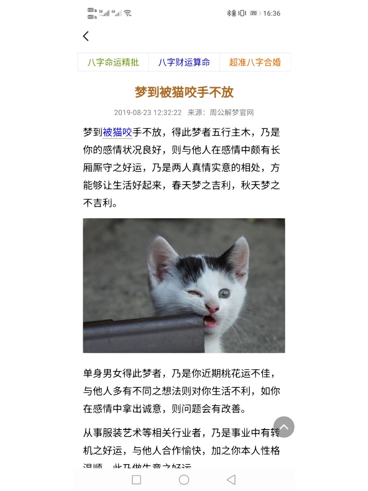 梦见被猫咬了,在此说破,大吉大利