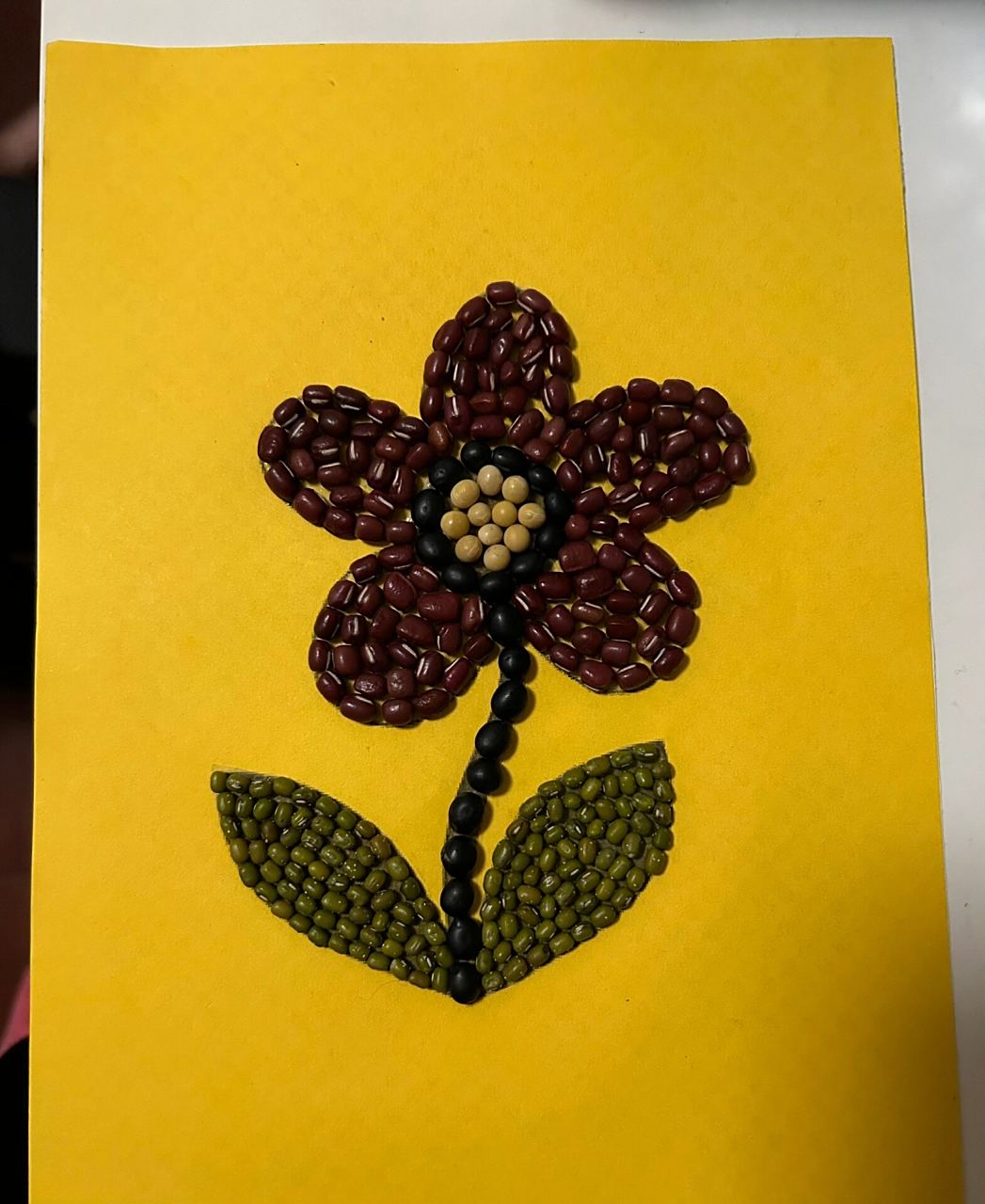 豆豆粘贴画 幼儿园手工作业,红豆,黄豆,绿豆,黑豆,双面胶,硬卡纸